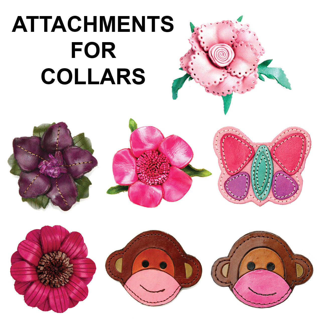 Attachments for Collars