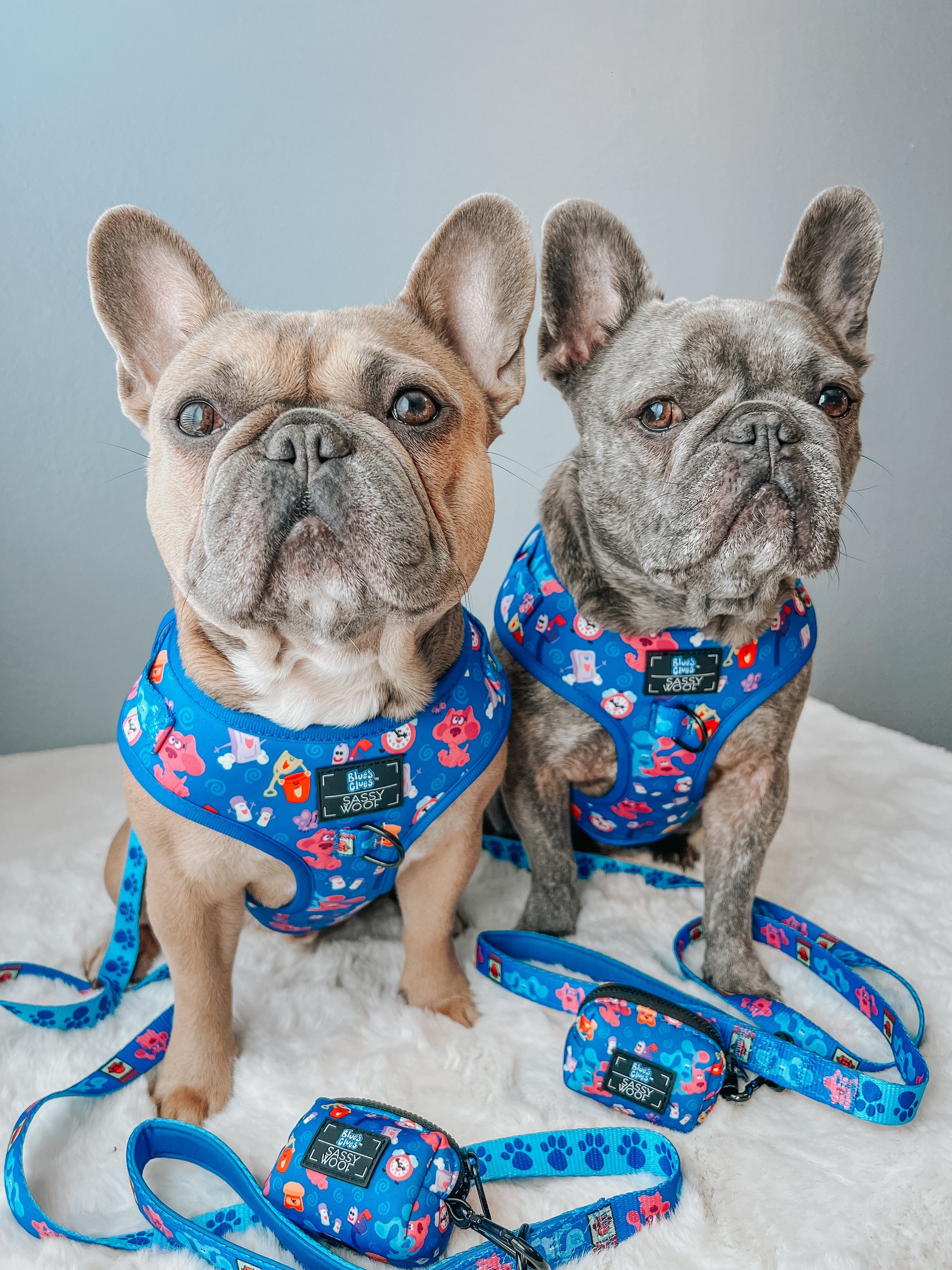 Dog Adjustable Harness - Blues Clues™