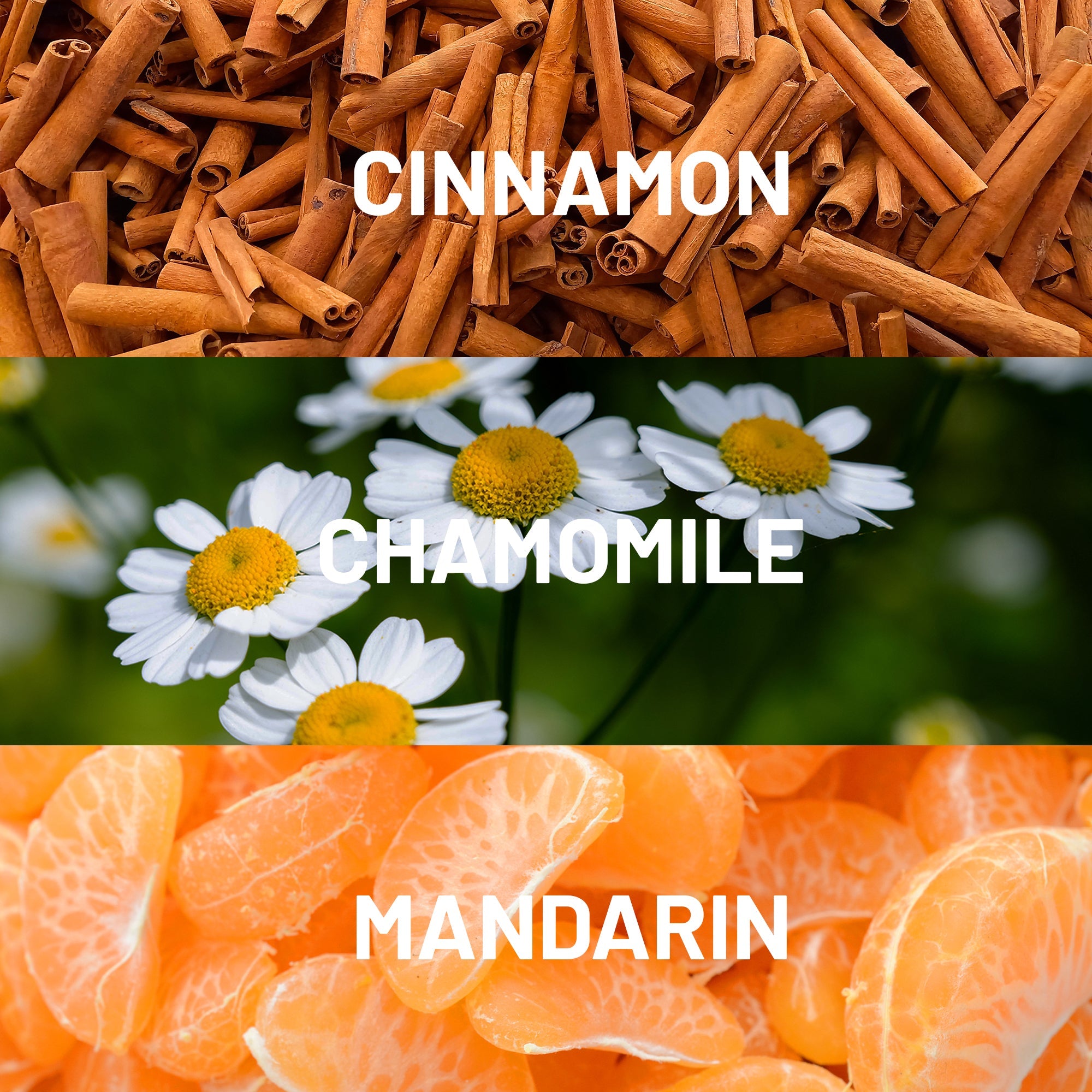 Hotel Collection Leo Fragrance Oil