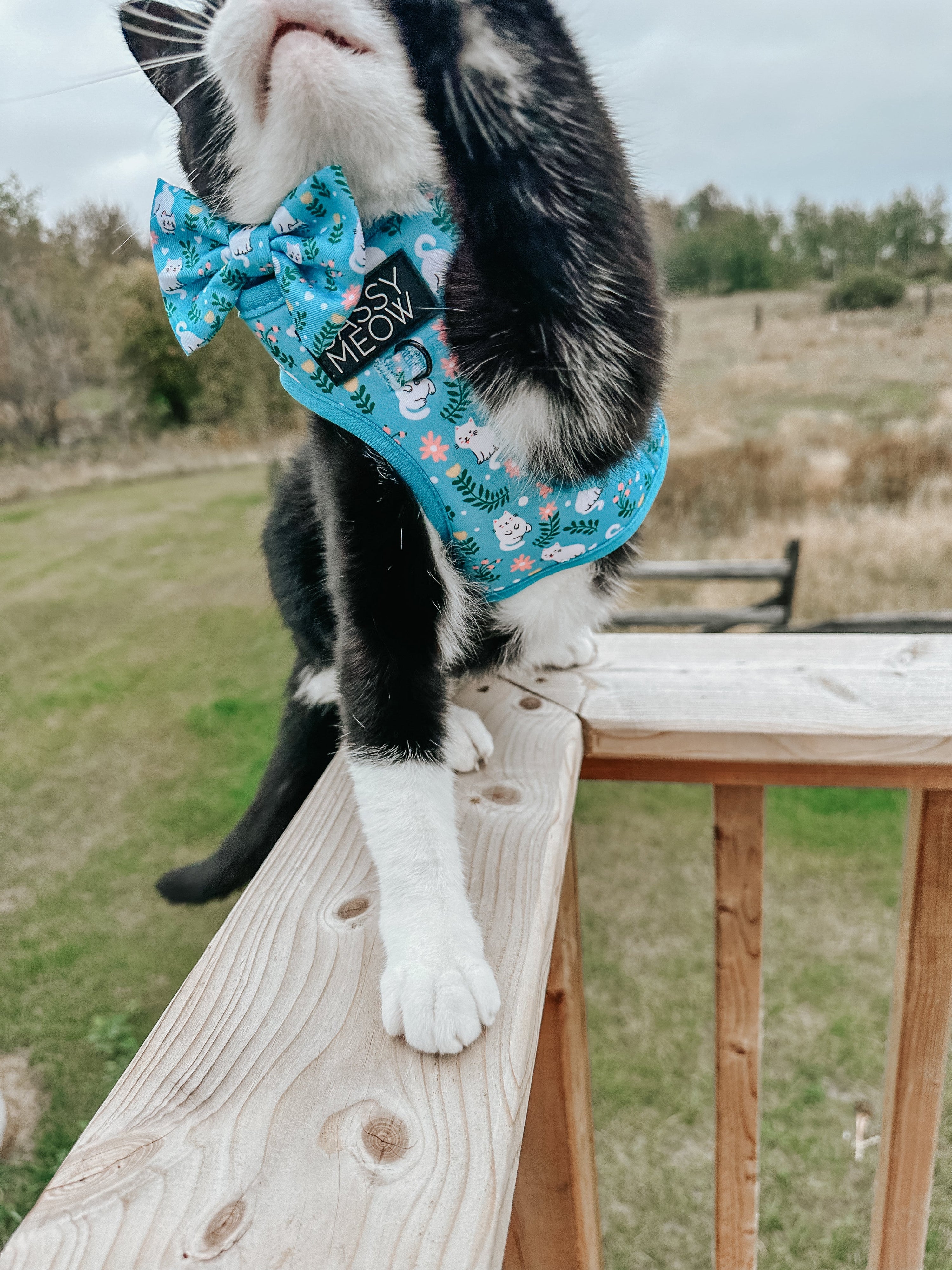Cat Step-In Harness - Purrs & Petals