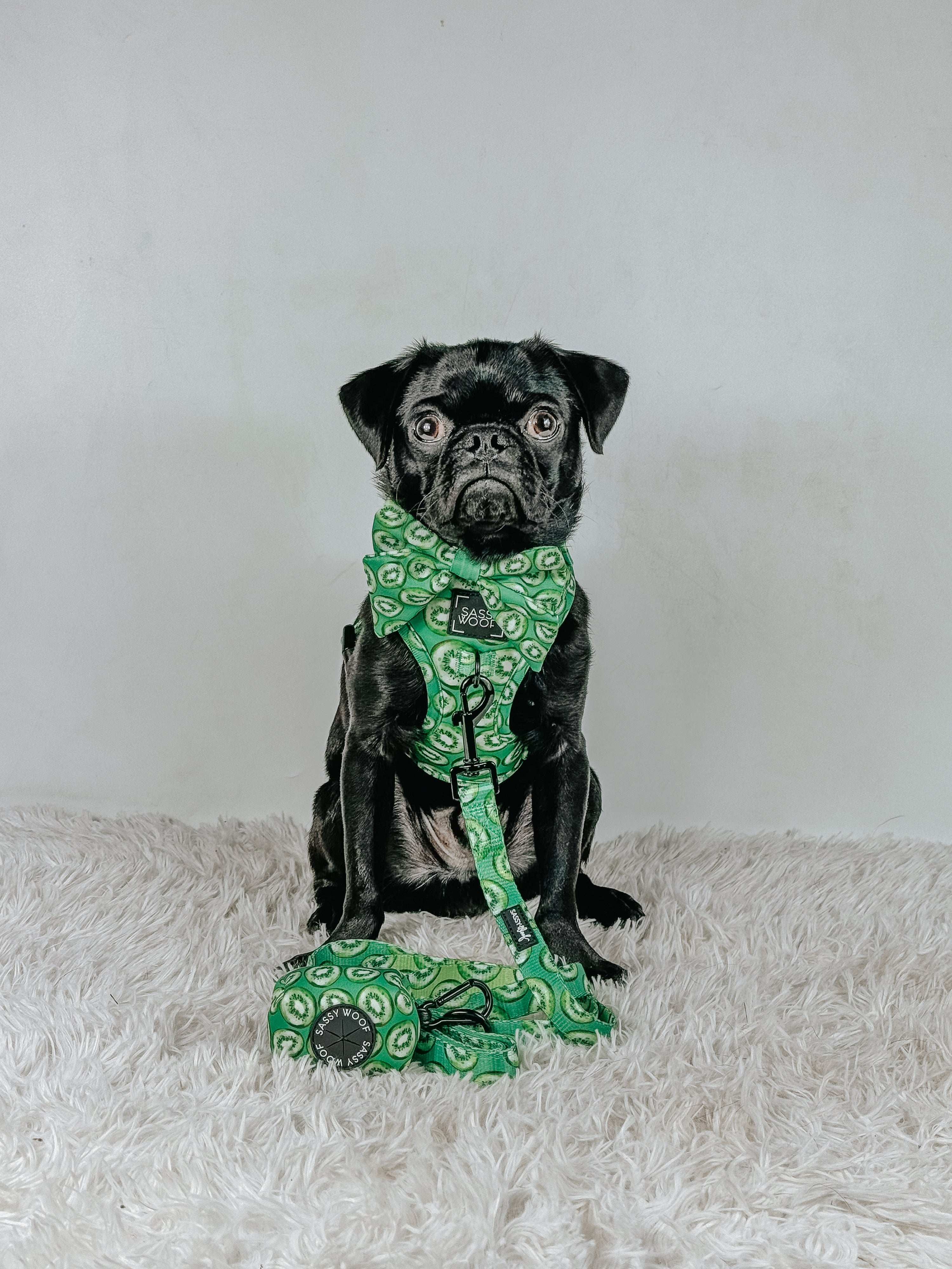 Dog Adjustable Harness - Kiwi Krazy