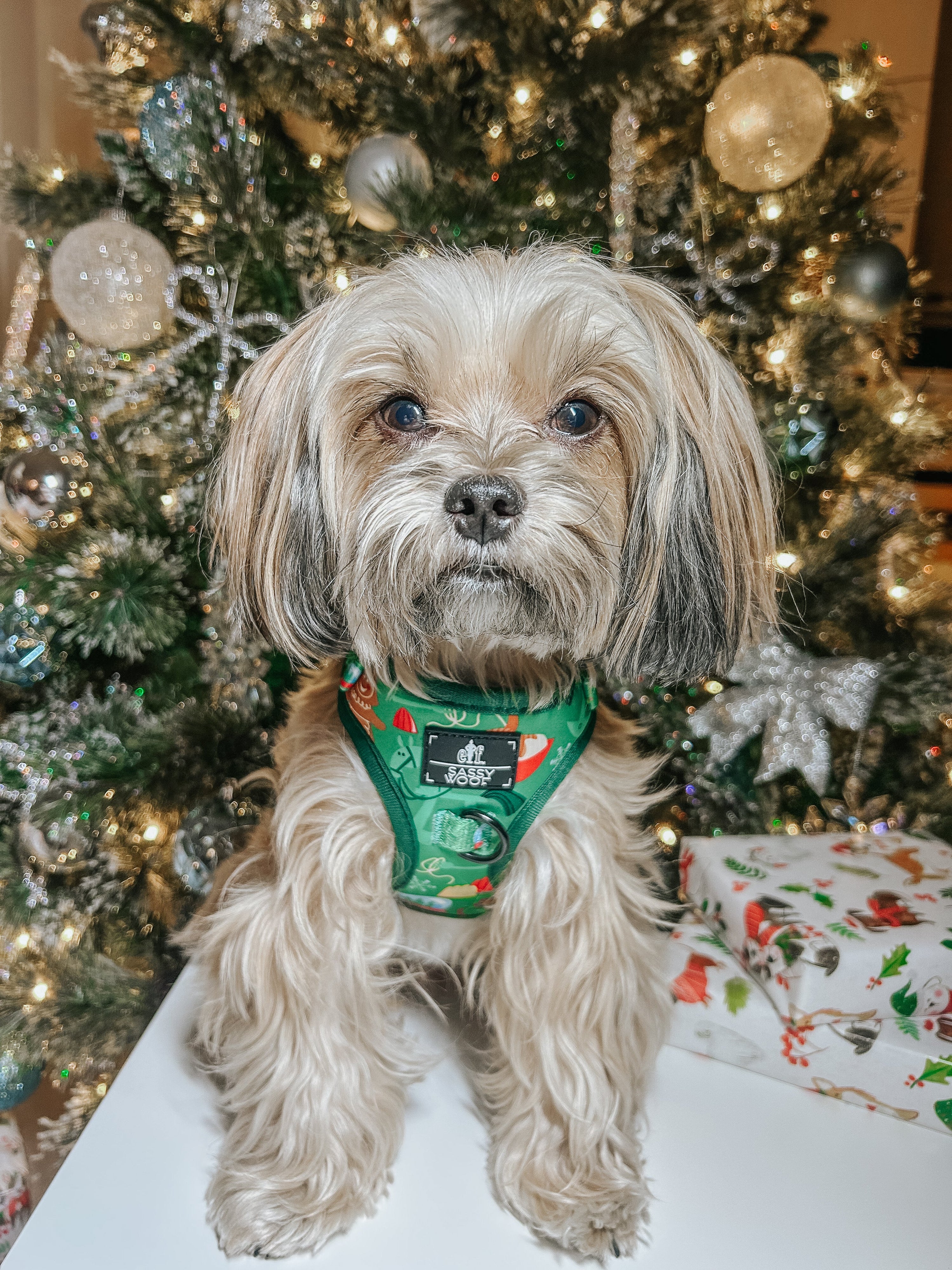 Dog Adjustable Harness - Elf™