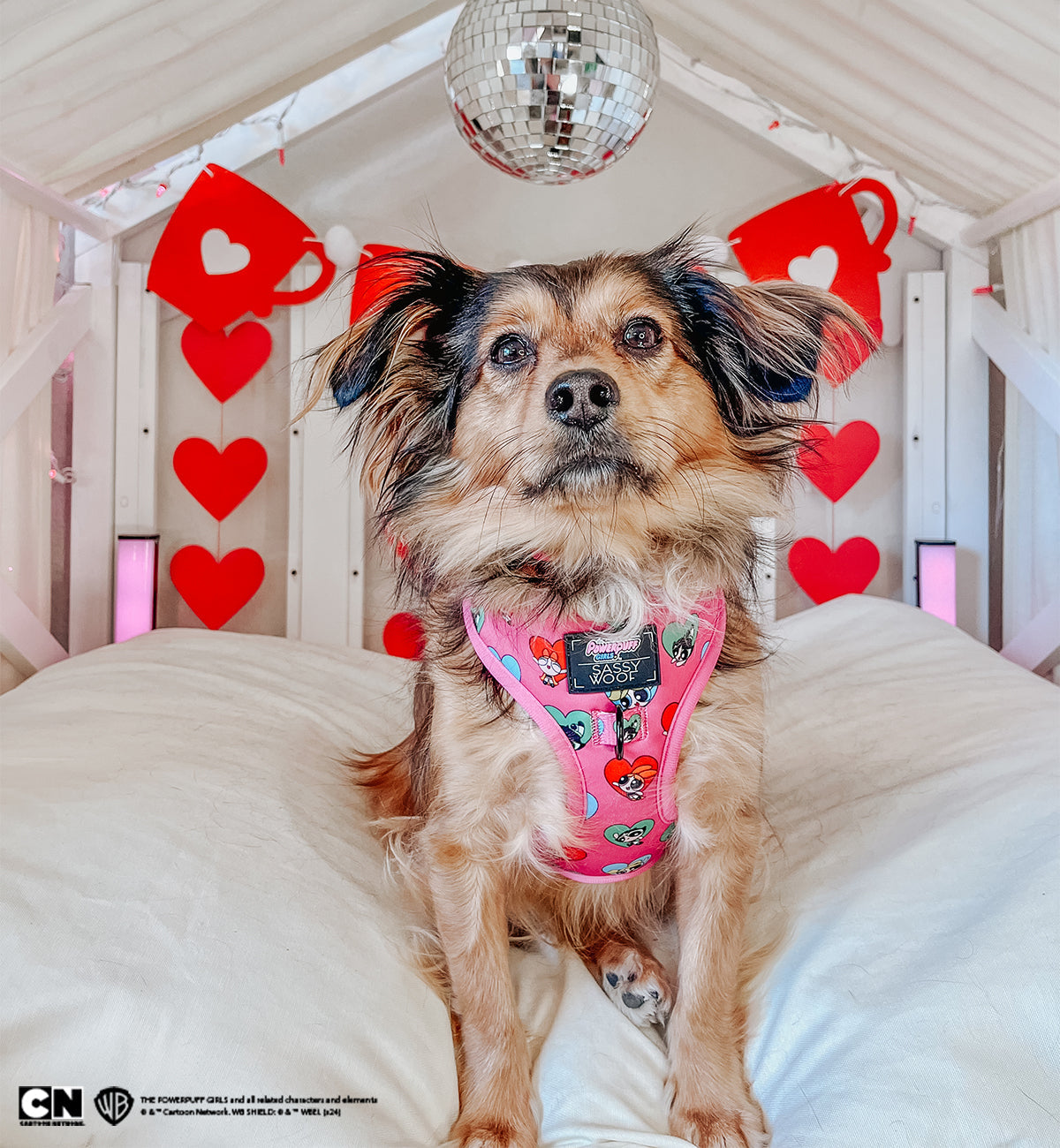 Dog Adjustable Harness - The Powerpuff Girls™ (Love)