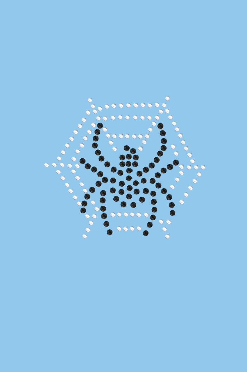 Spider Web & Spider - Womens T-shirt