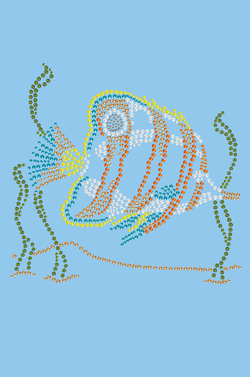 Fish (Orange & Blue) - Womens T-shirt