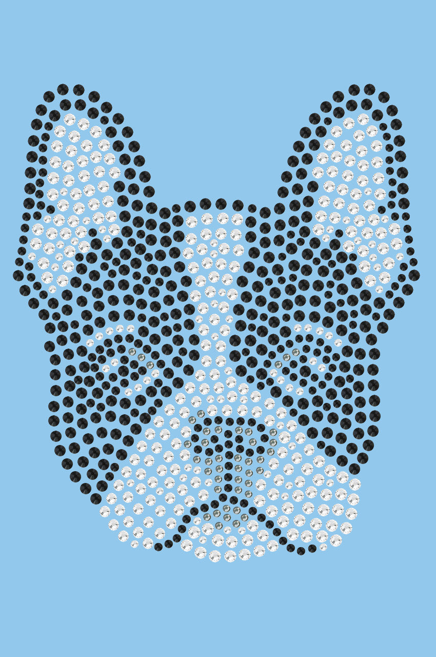 Boston Terrier - bandana