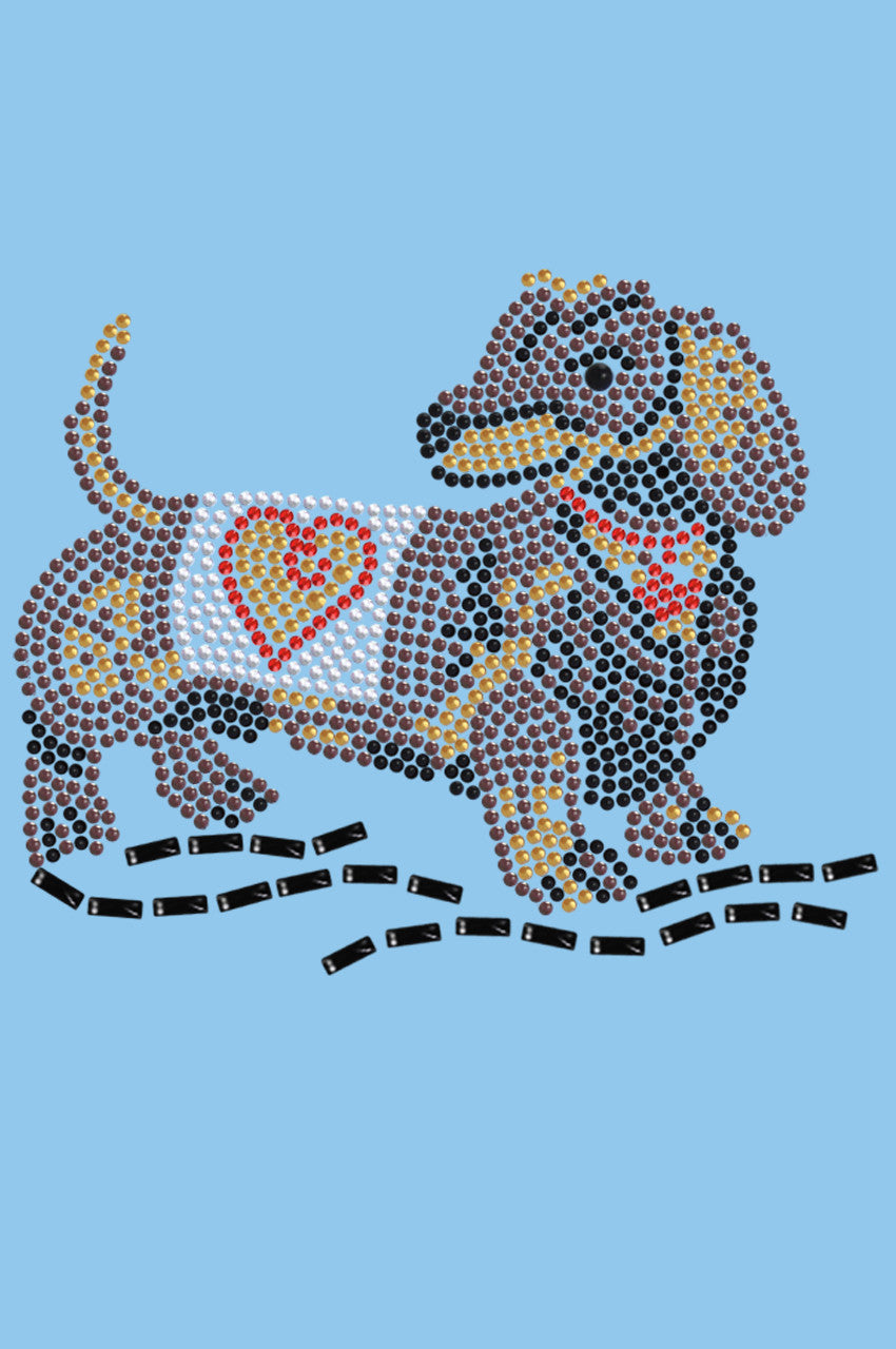 Dachshund 1 - bandana