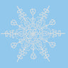Extra Large Snowflake - Women's Tee