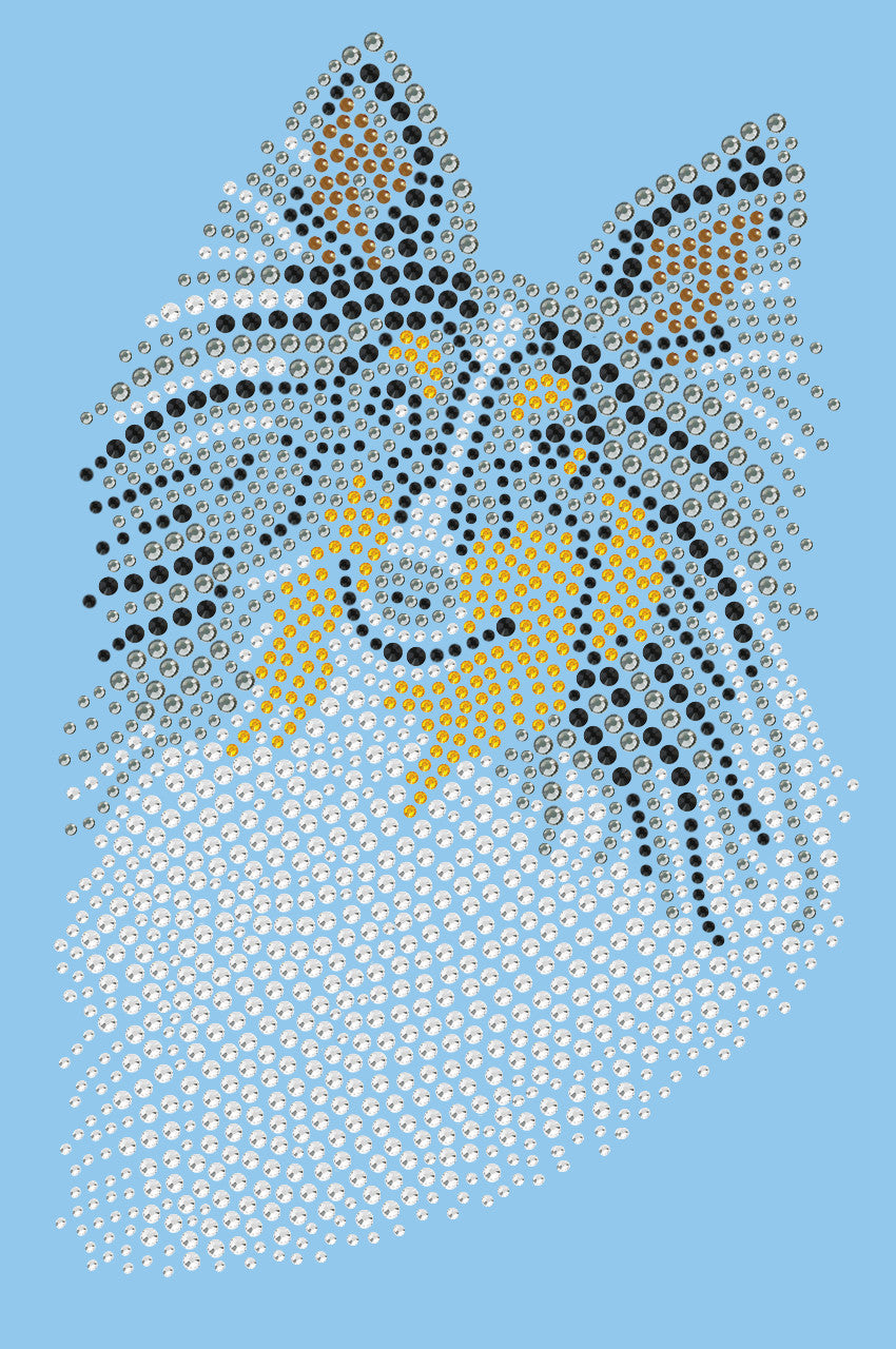 Sheltie Face (Tri Color) - bandana