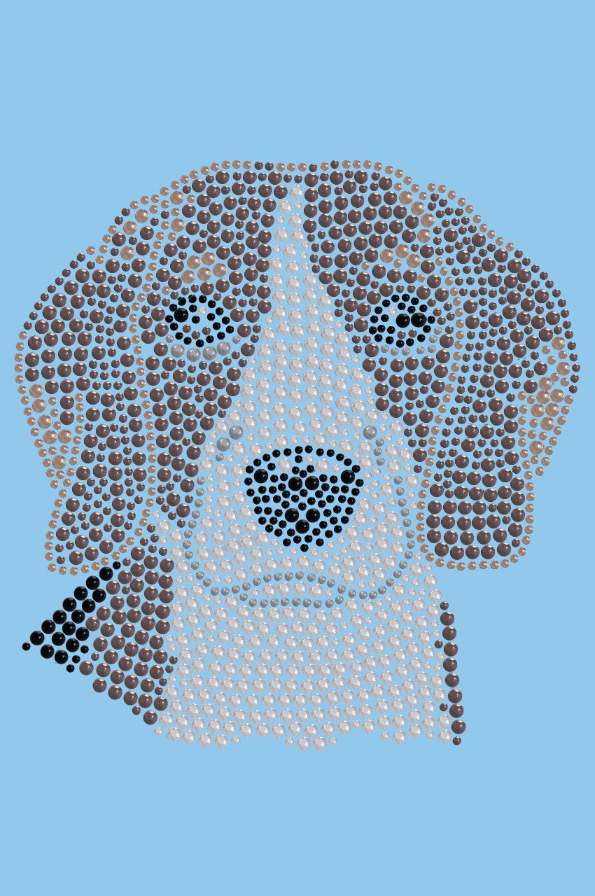 Beagle - bandana