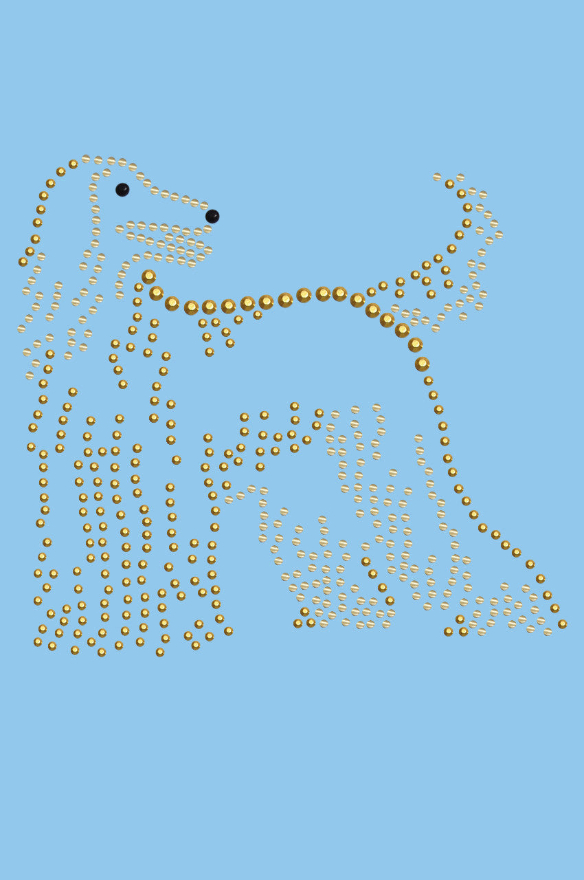 Afghan Hound - bandana