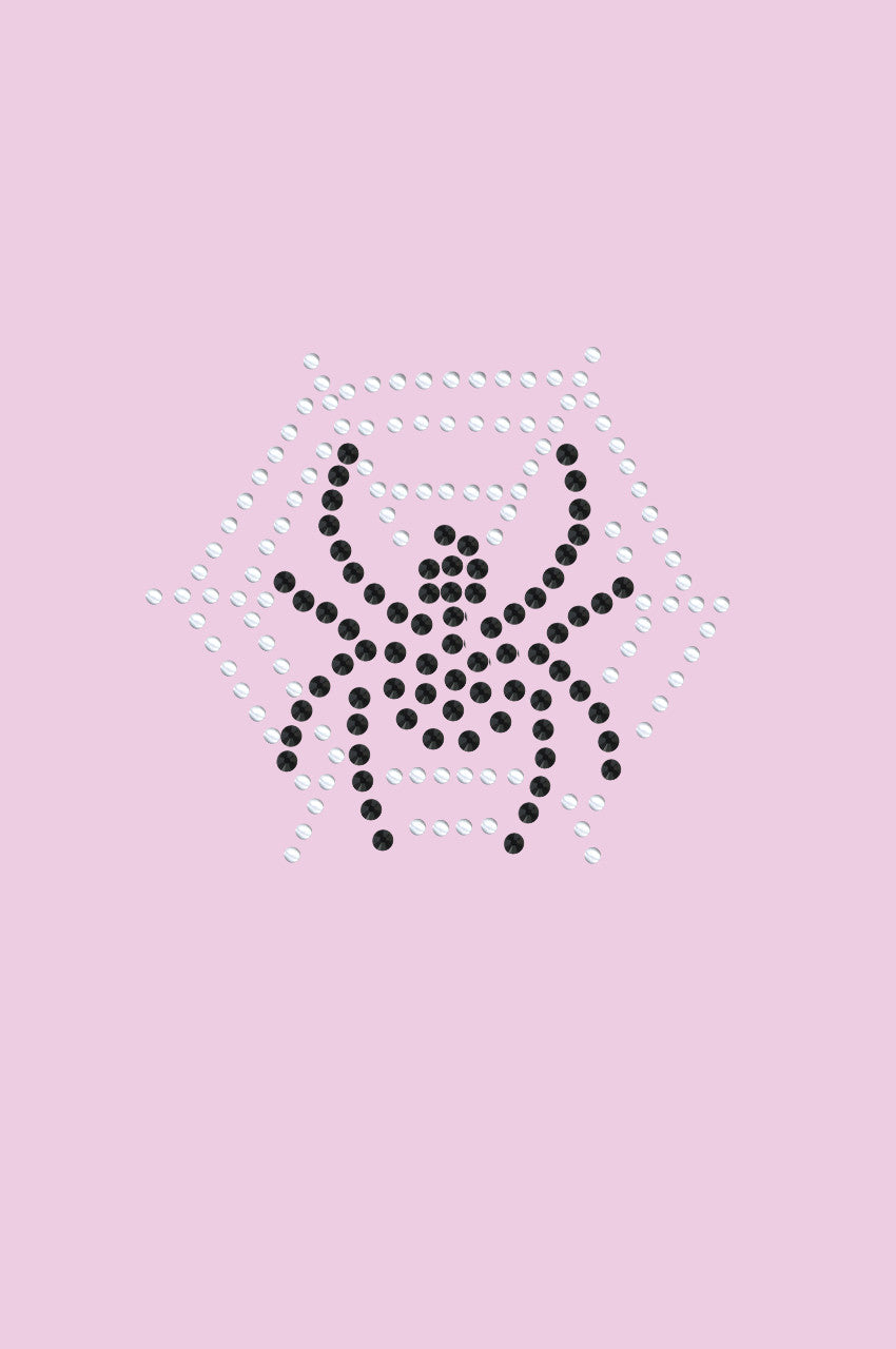 Spider Web & Spider - Womens T-shirt
