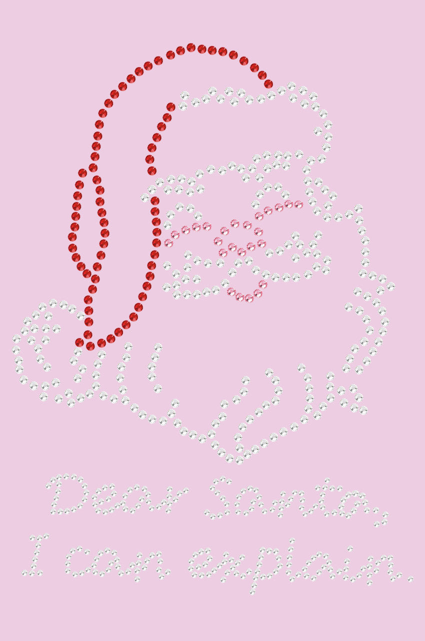 Santa Face - I Can Explain - Women's T-shirt