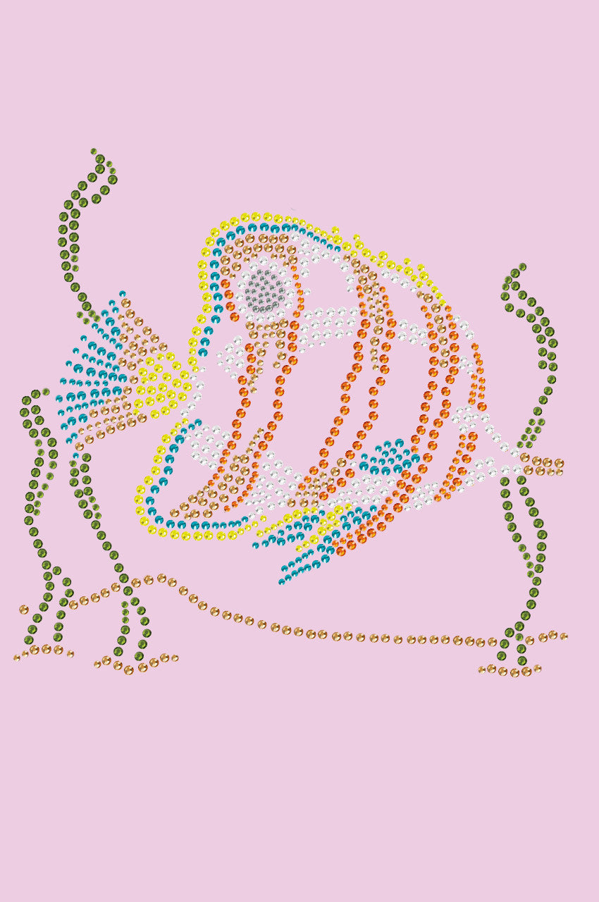 Fish (Orange & Blue) - Women's T-shirt