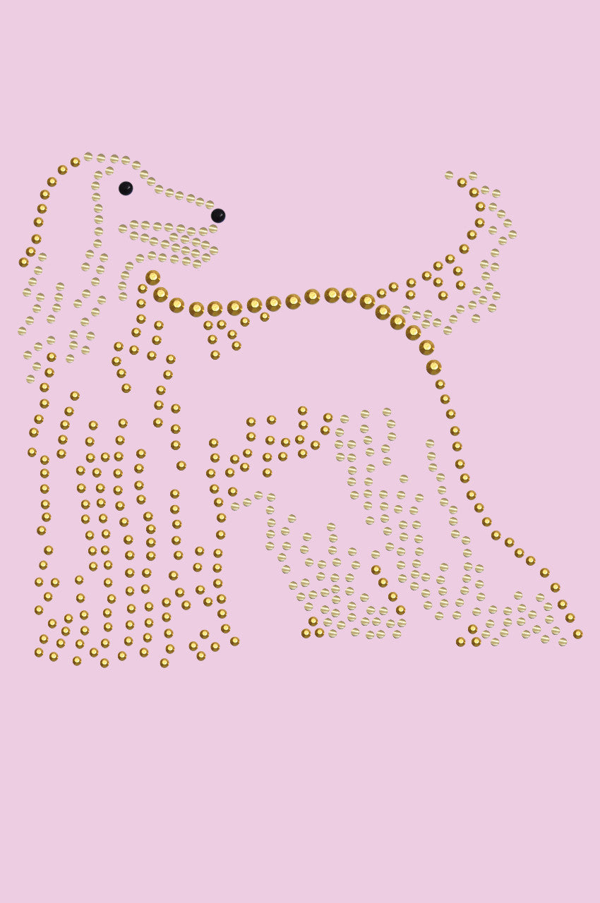 Afghan Hound - bandana