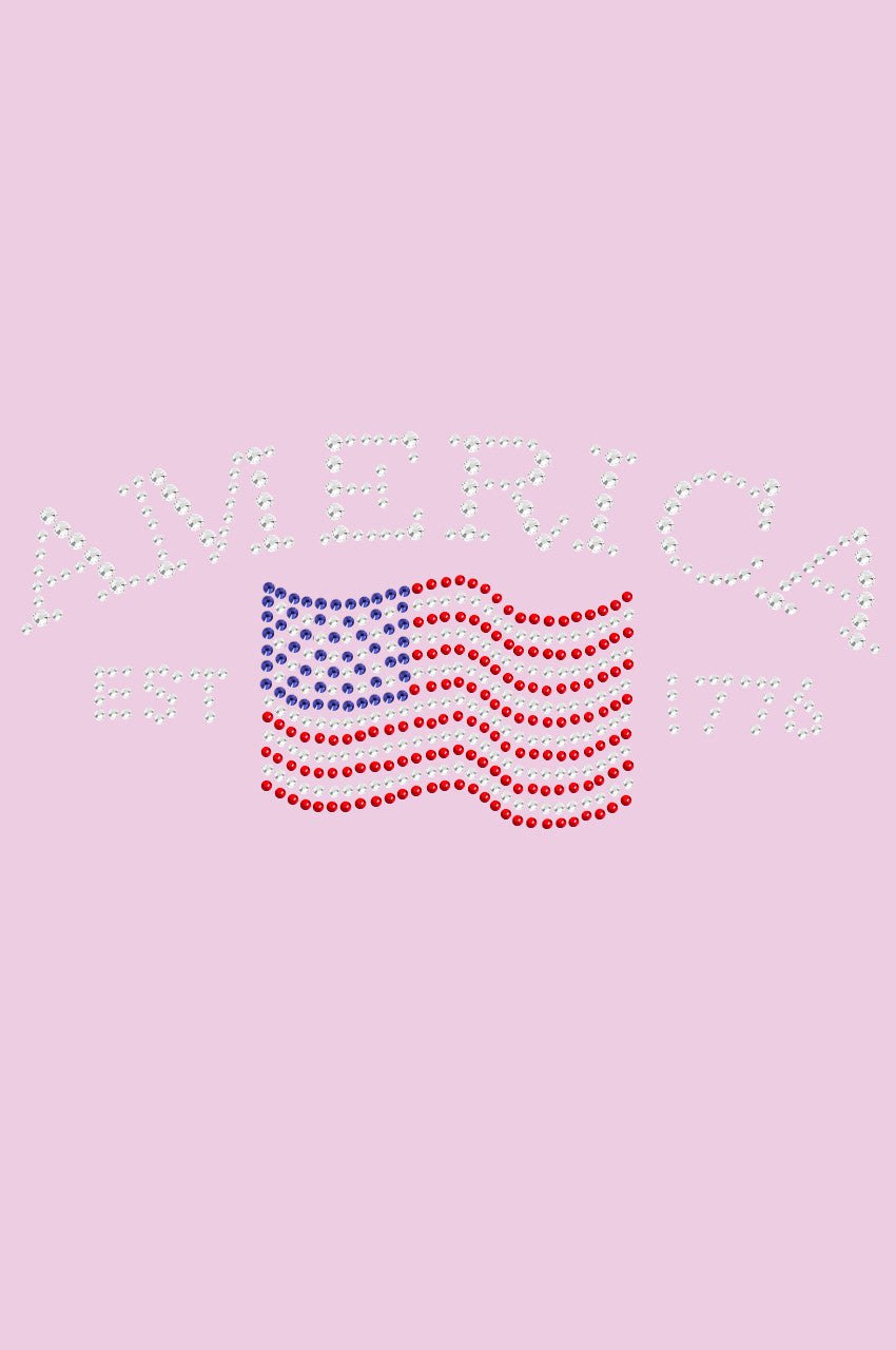 America - Womens T-shirt