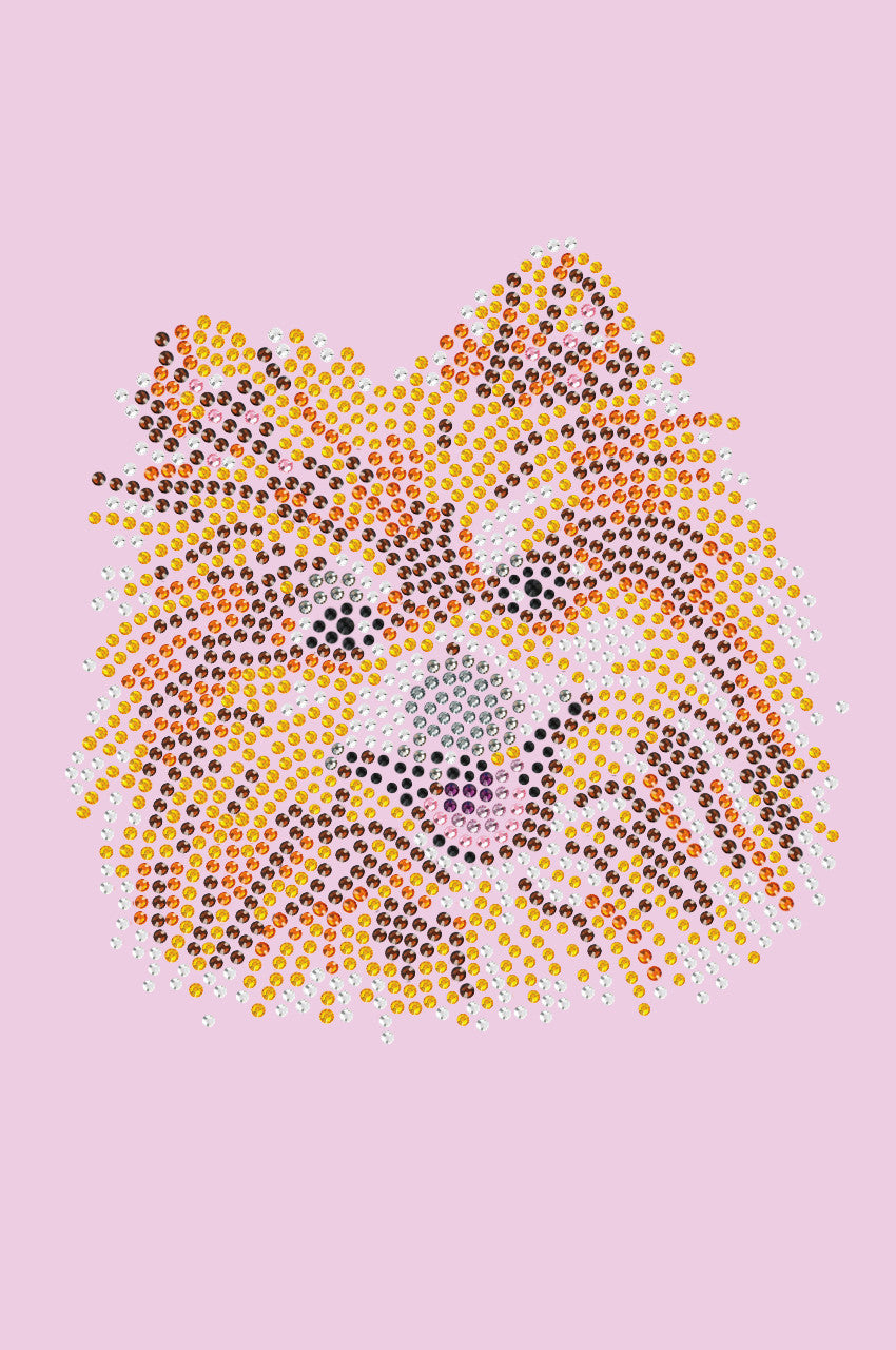 Pomeranian - bandana