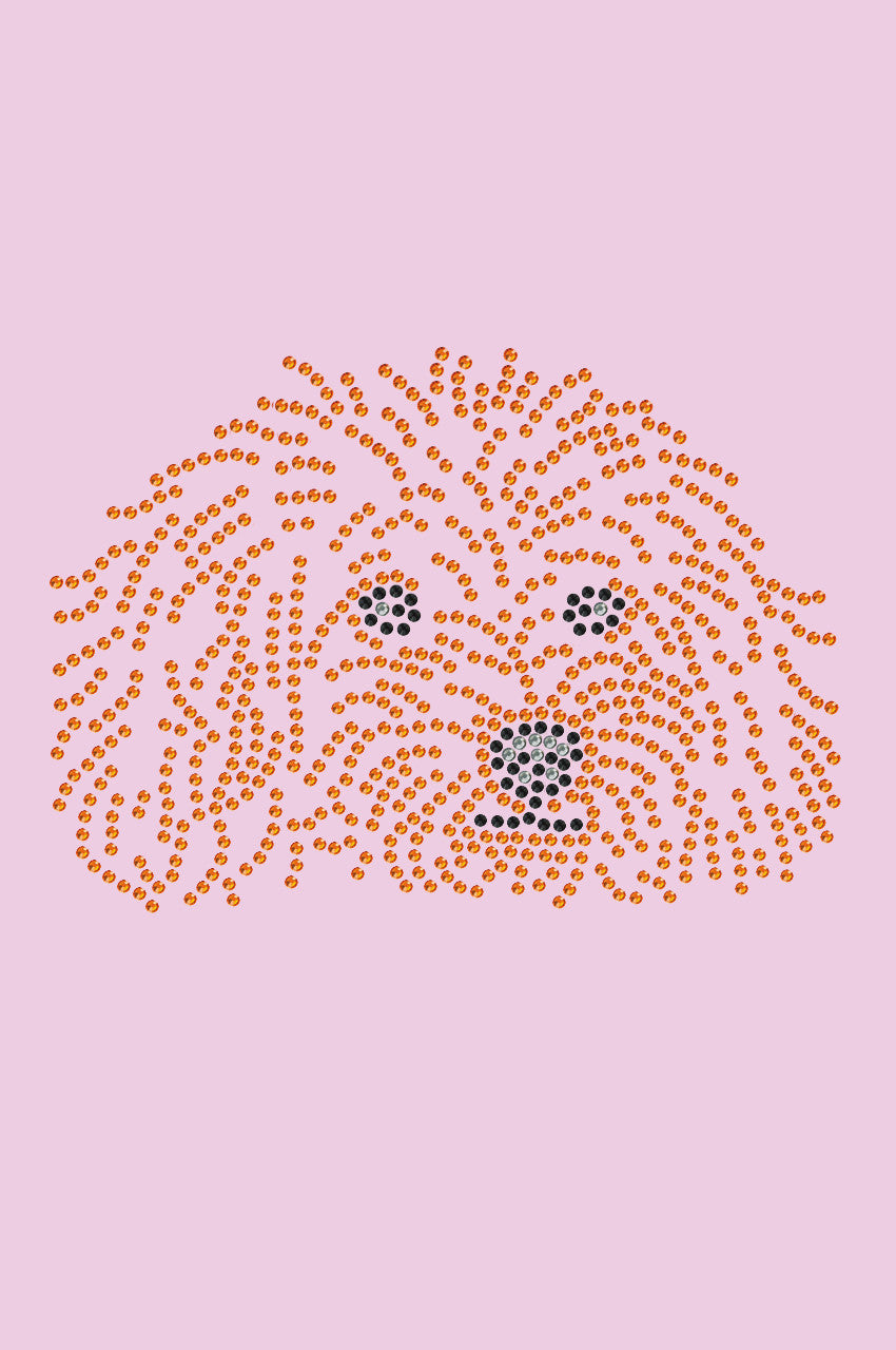 Poodle (Teddy) - bandana