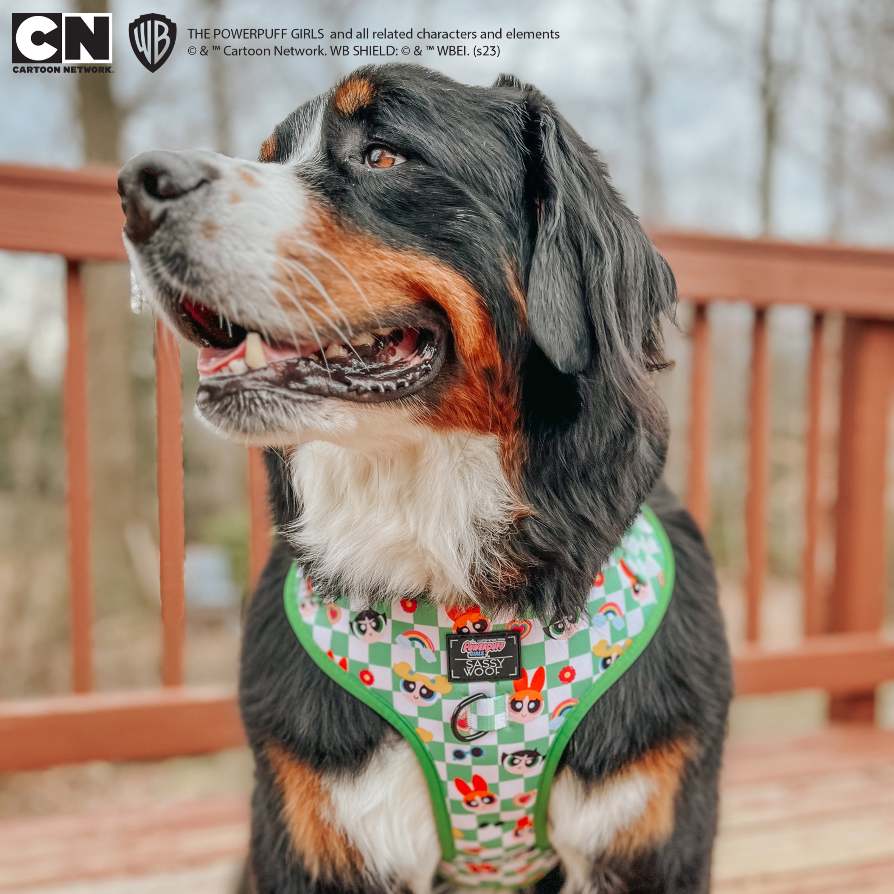 Dog Adjustable Harness - The Powerpuff Girls™ (Green)