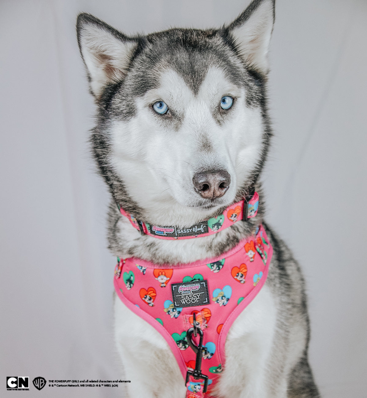 Dog Collar - The Powerpuff Girls™ (Love)