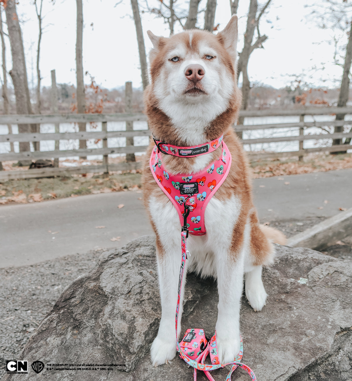 Dog Adjustable Harness - The Powerpuff Girls™ (Love)