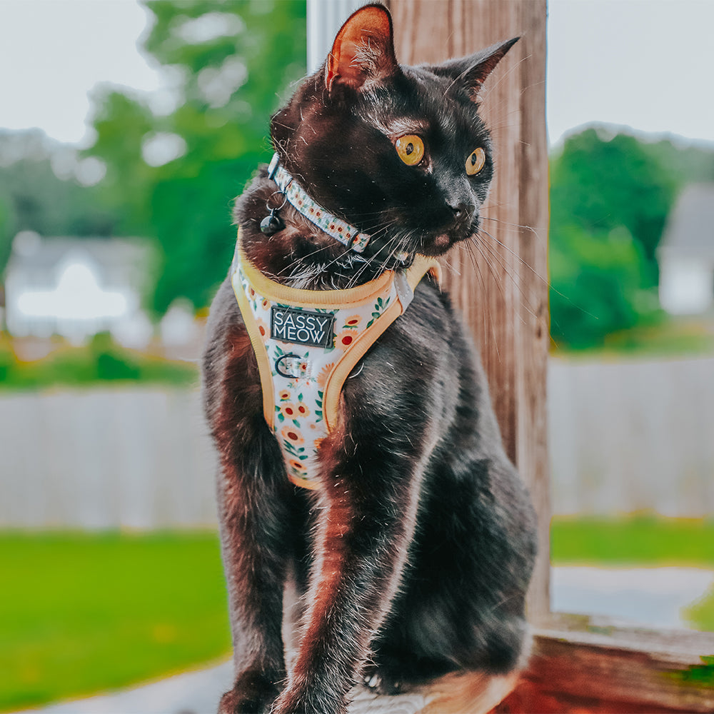 Cat Collar - Sunflower Dreams