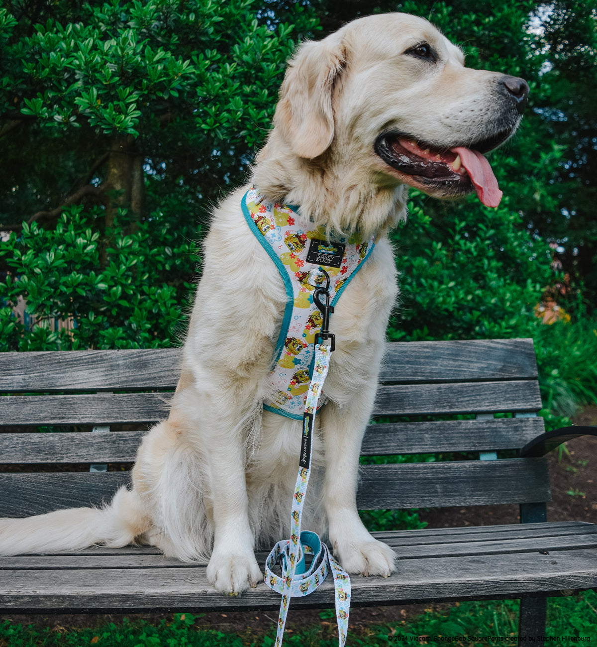 Dog Adjustable Harness - SpongeBob SquarePants™ Bikini Bottom