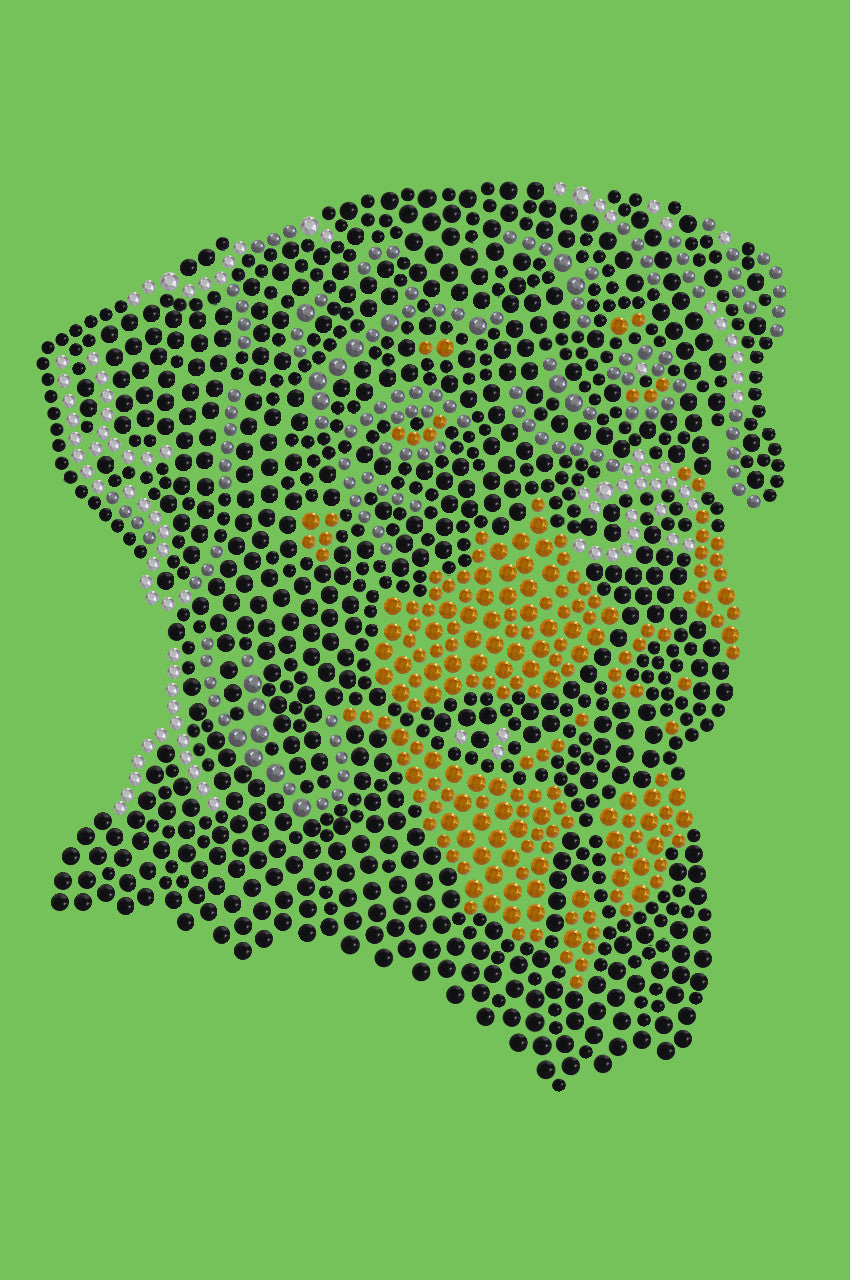 Rottweiler - bandana