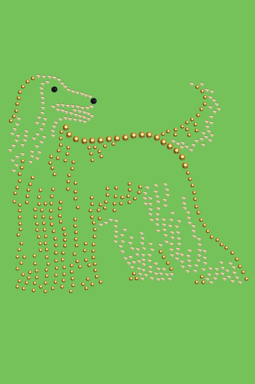 Afghan Hound - bandana