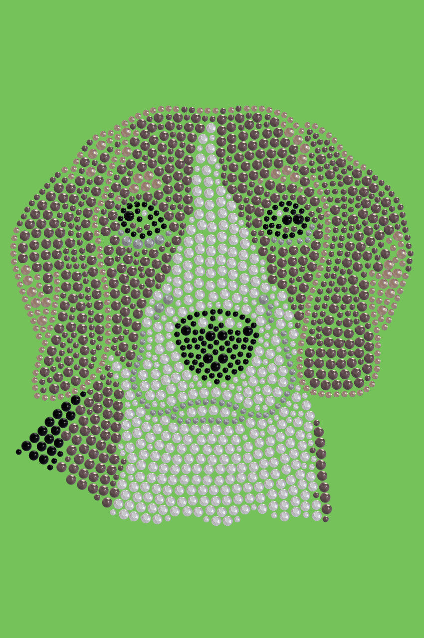 Beagle - bandana