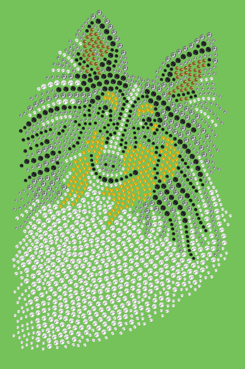 Sheltie Face (Tri Color) - bandana