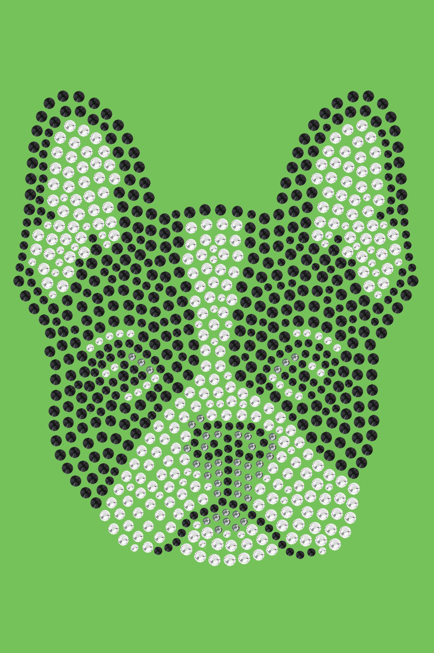 Boston Terrier - bandana