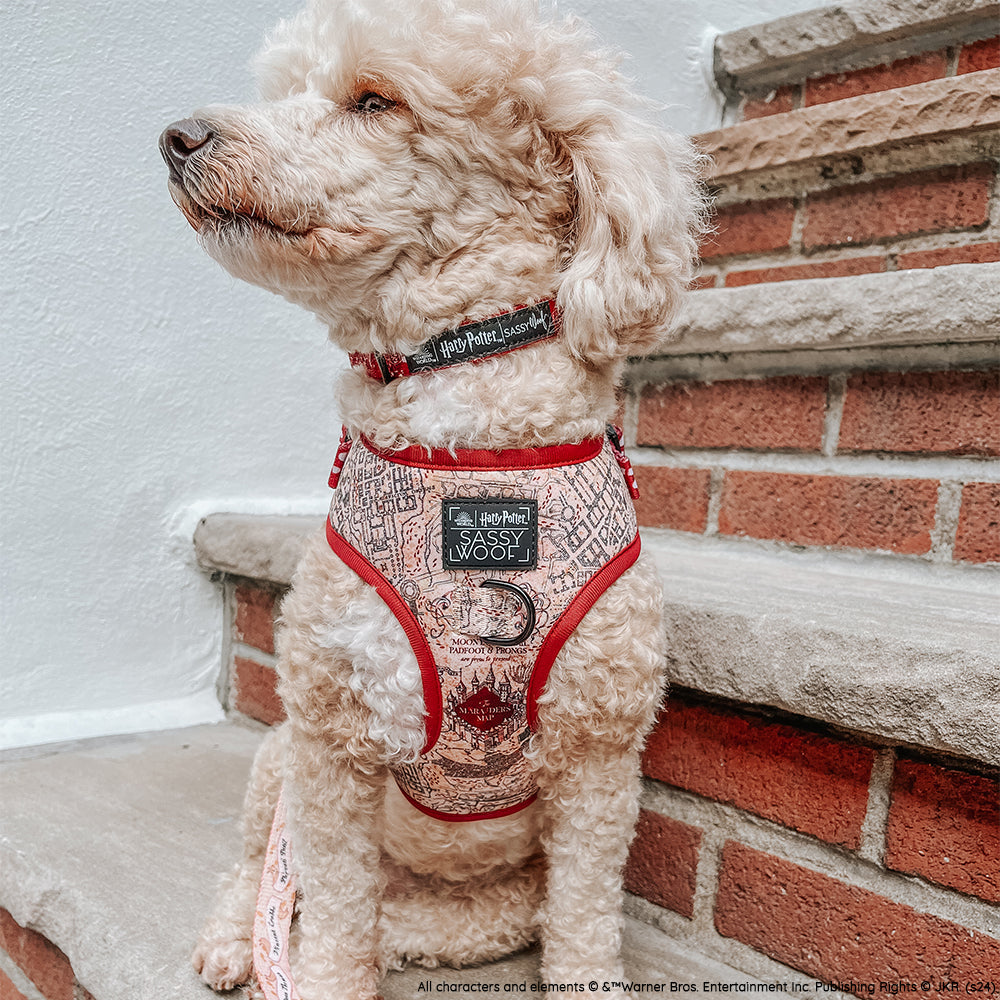 Dog Adjustable Harness - Harry Potter™ Marauders Map™