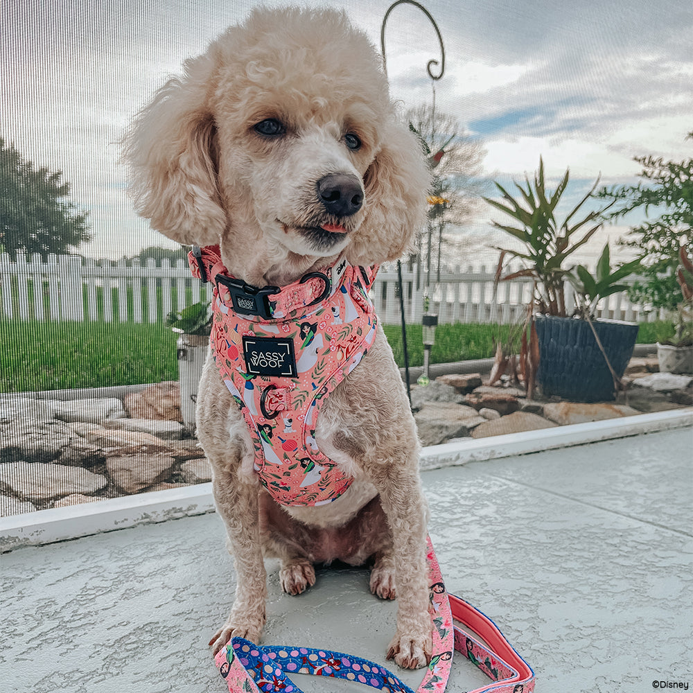 Dog Leash - Disneys Mulan