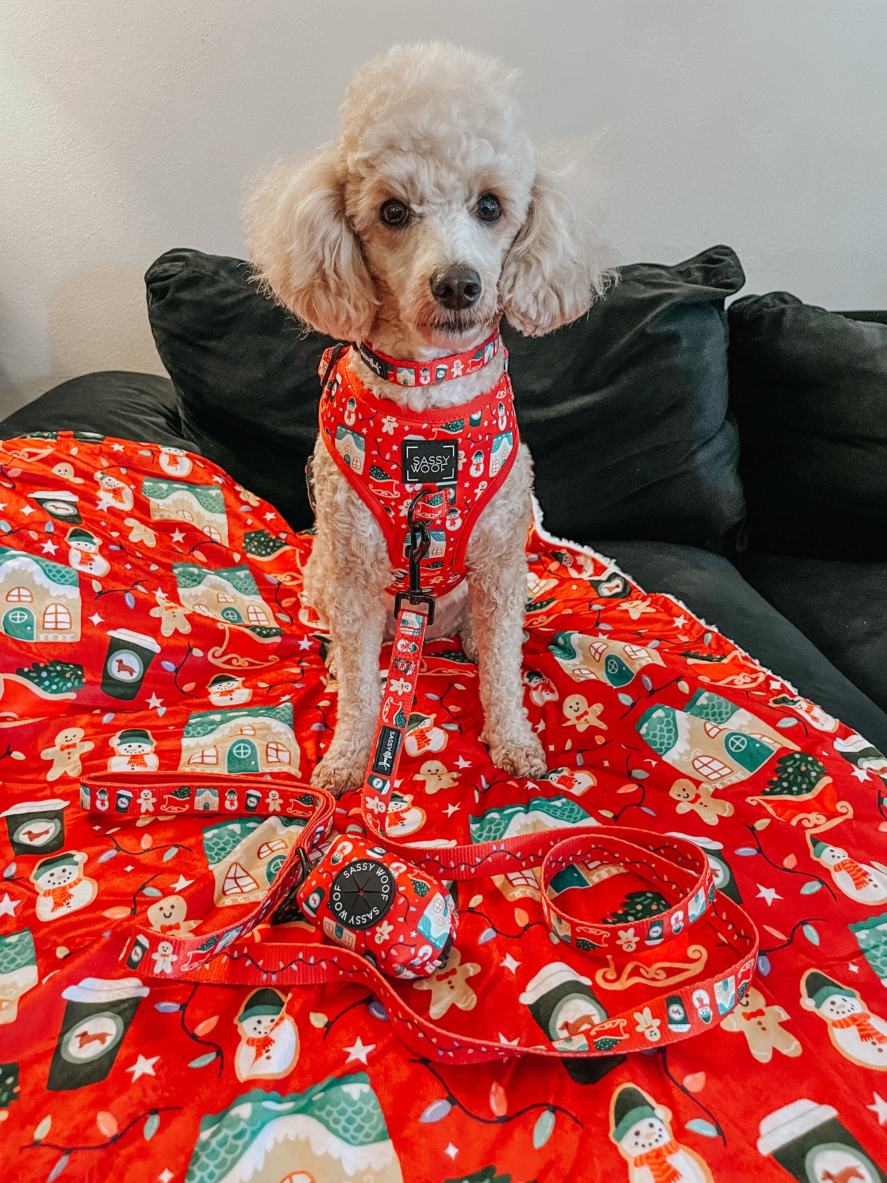 Dog Collar - Sleigh Baby Sleigh