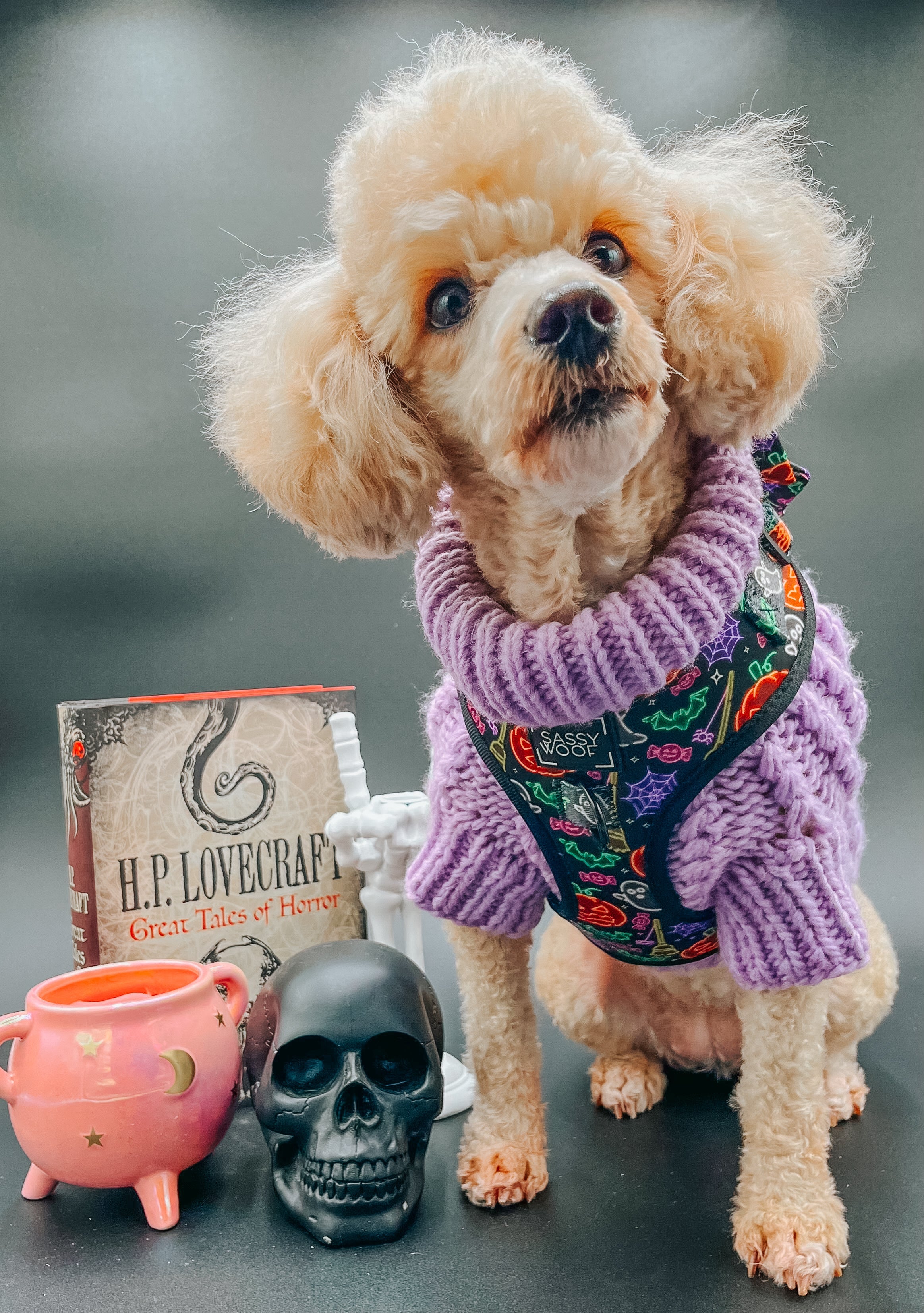Dog Adjustable Harness - Neon Frights