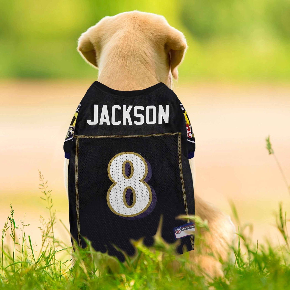 NFL Baltimore Ravens Lamar Jackson Mesh Pet Jersey
