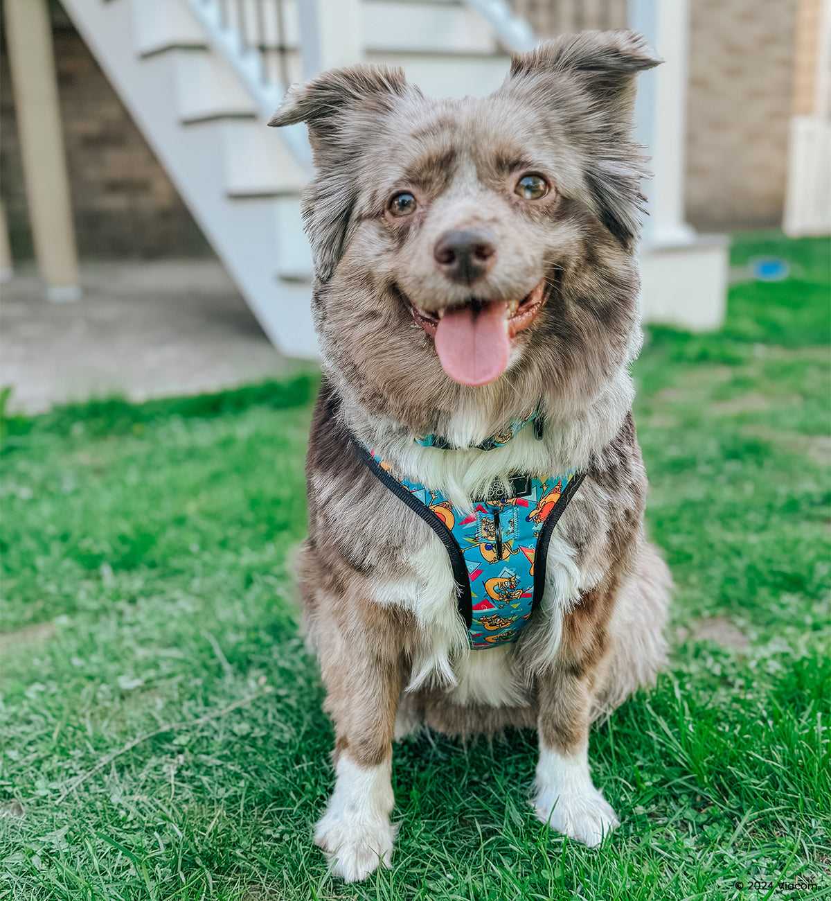 Dog Adjustable Harness - Nickelodeon CatDog™