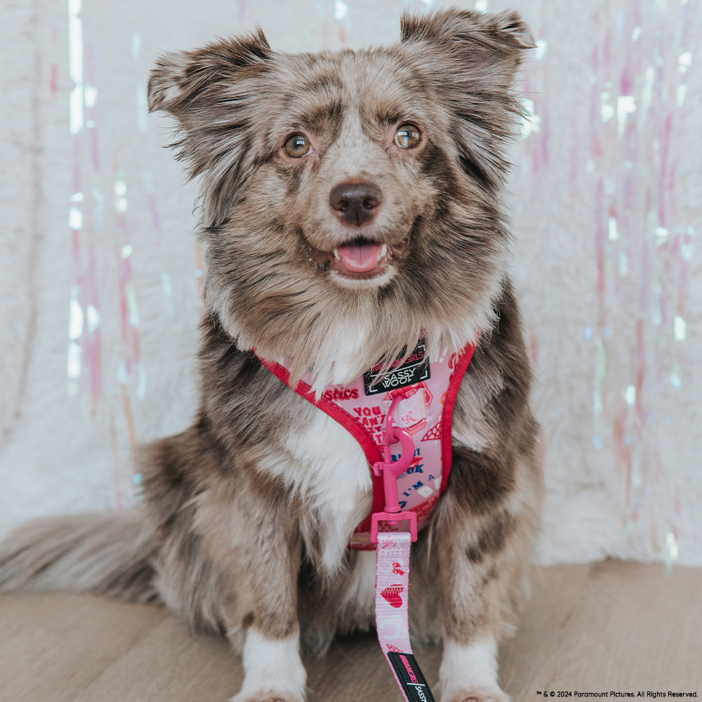Dog Adjustable Harness - Mean Girls™