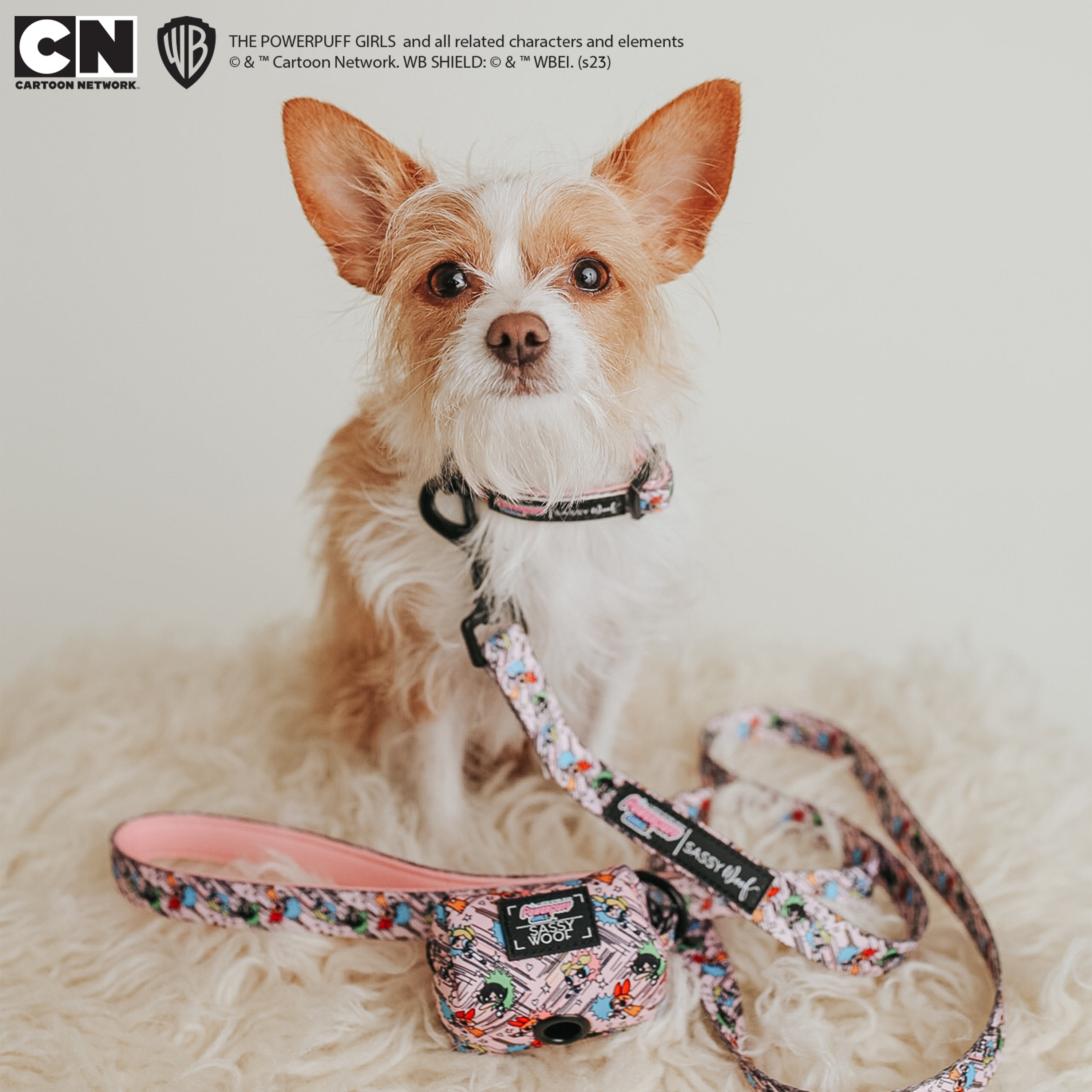 Dog Leash - The Powerpuff Girls™ (Pink)