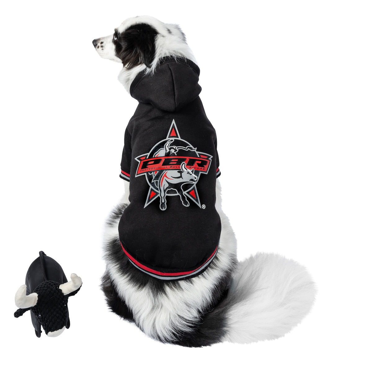 PBR Official Dog Star Logo Hoodie