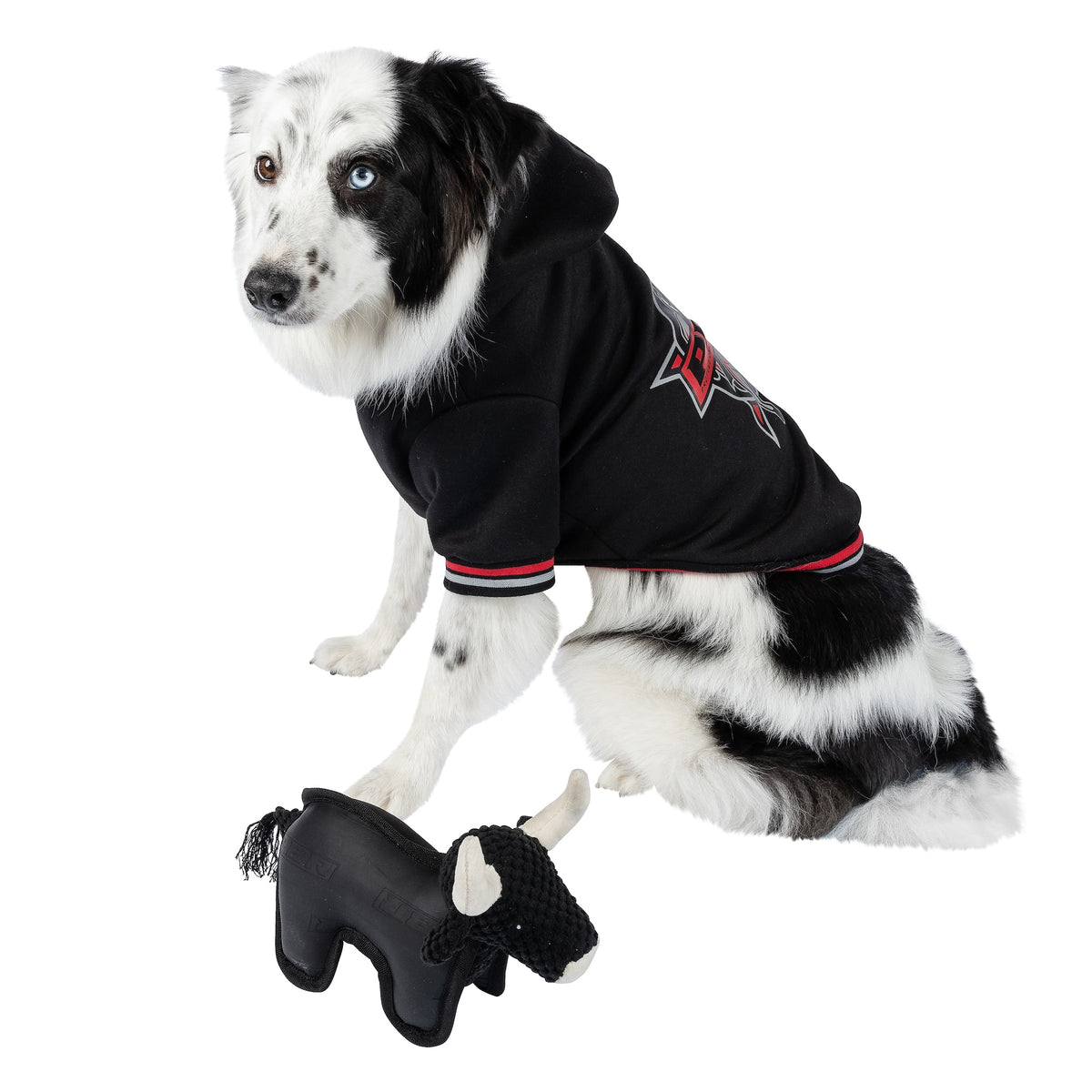 PBR Official Dog Star Logo Hoodie