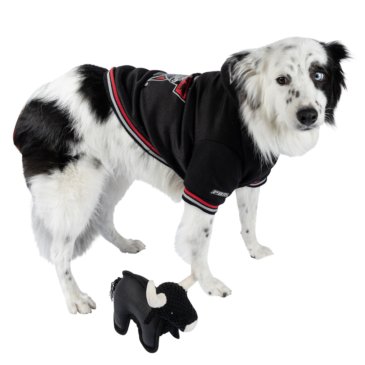 PBR Official Dog Star Logo Hoodie