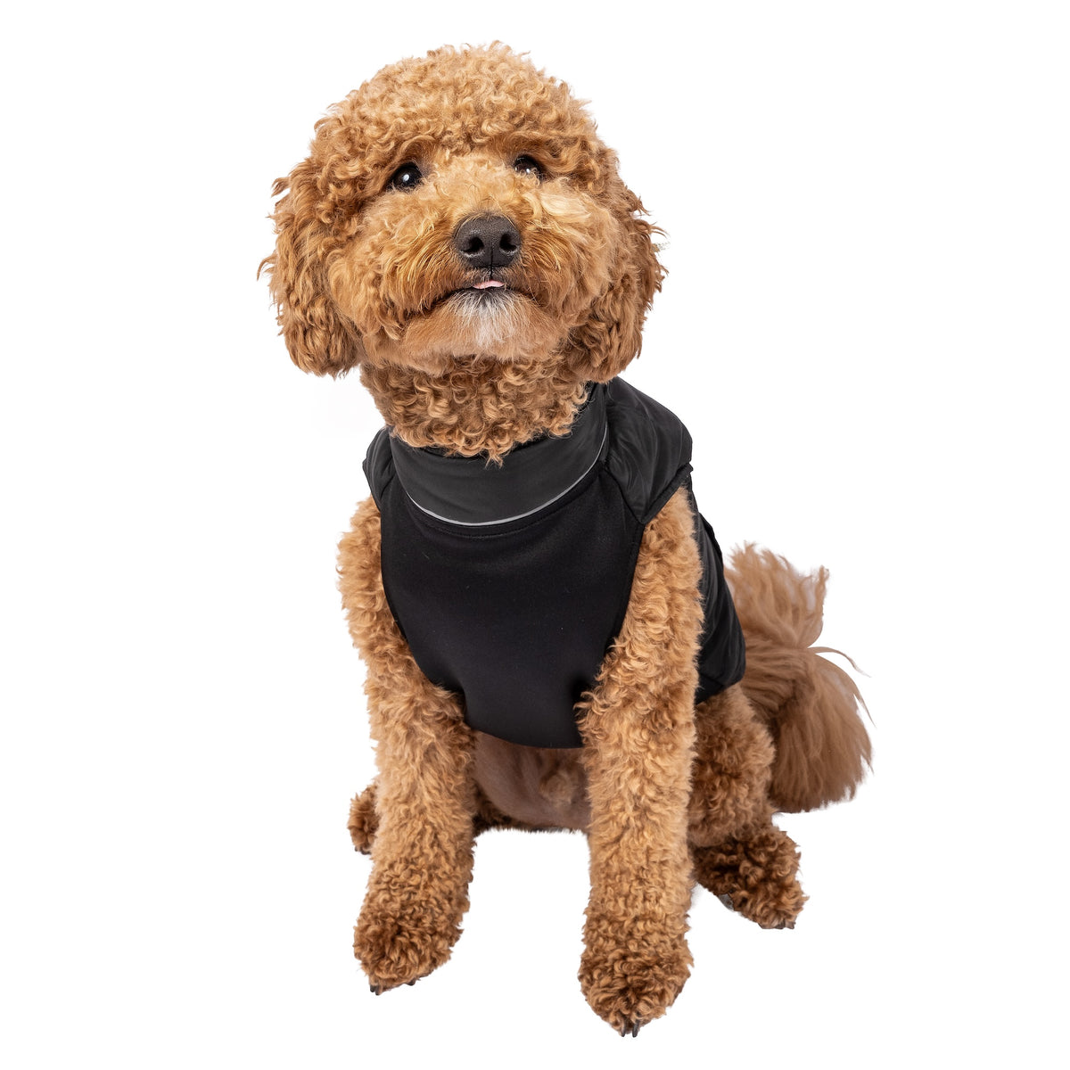 PBR Official Dog Puffer Vest - Zip-Up Insulated Pet Coat