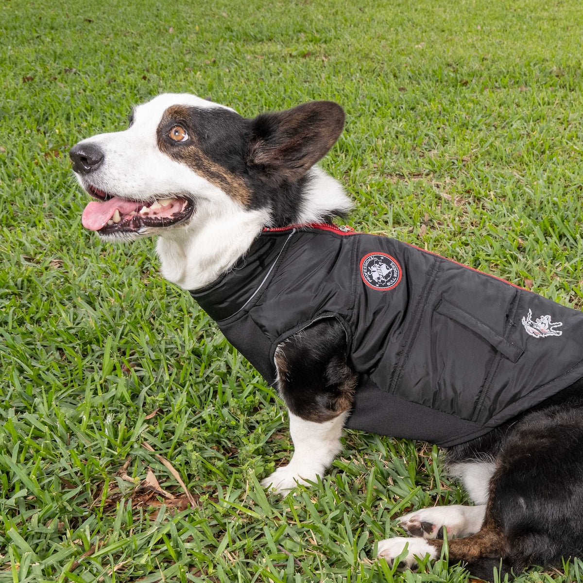 PBR Official Dog Puffer Vest - Zip-Up Insulated Pet Coat