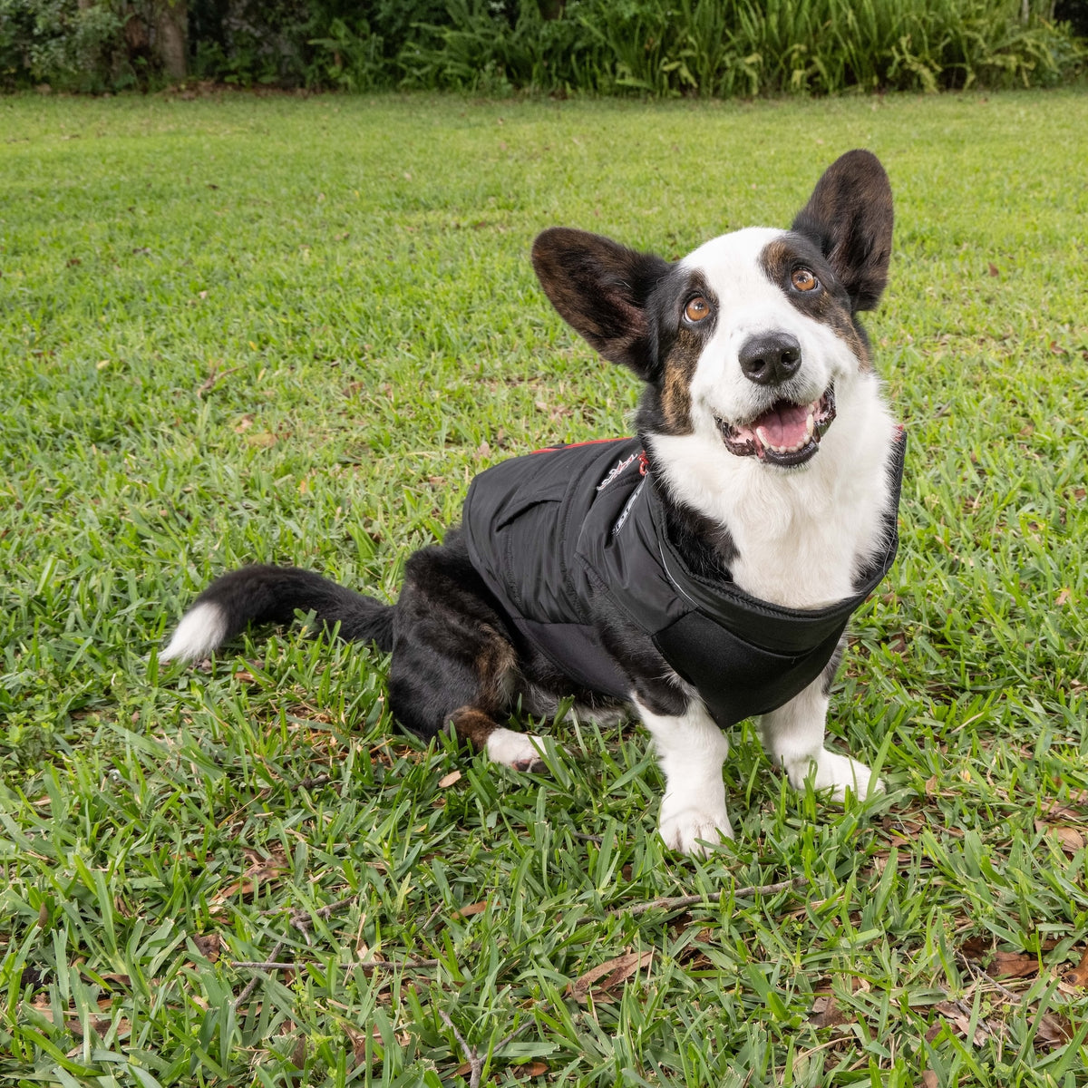 PBR Official Dog Puffer Vest - Zip-Up Insulated Pet Coat