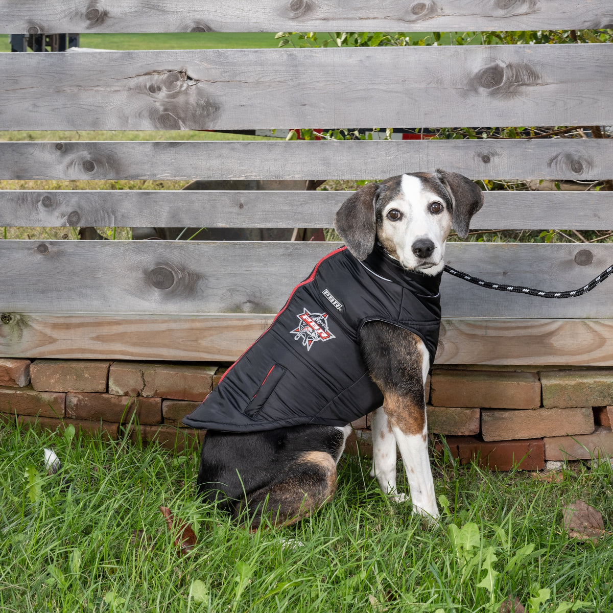 PBR Official Dog Puffer Vest - Zip-Up Insulated Pet Coat