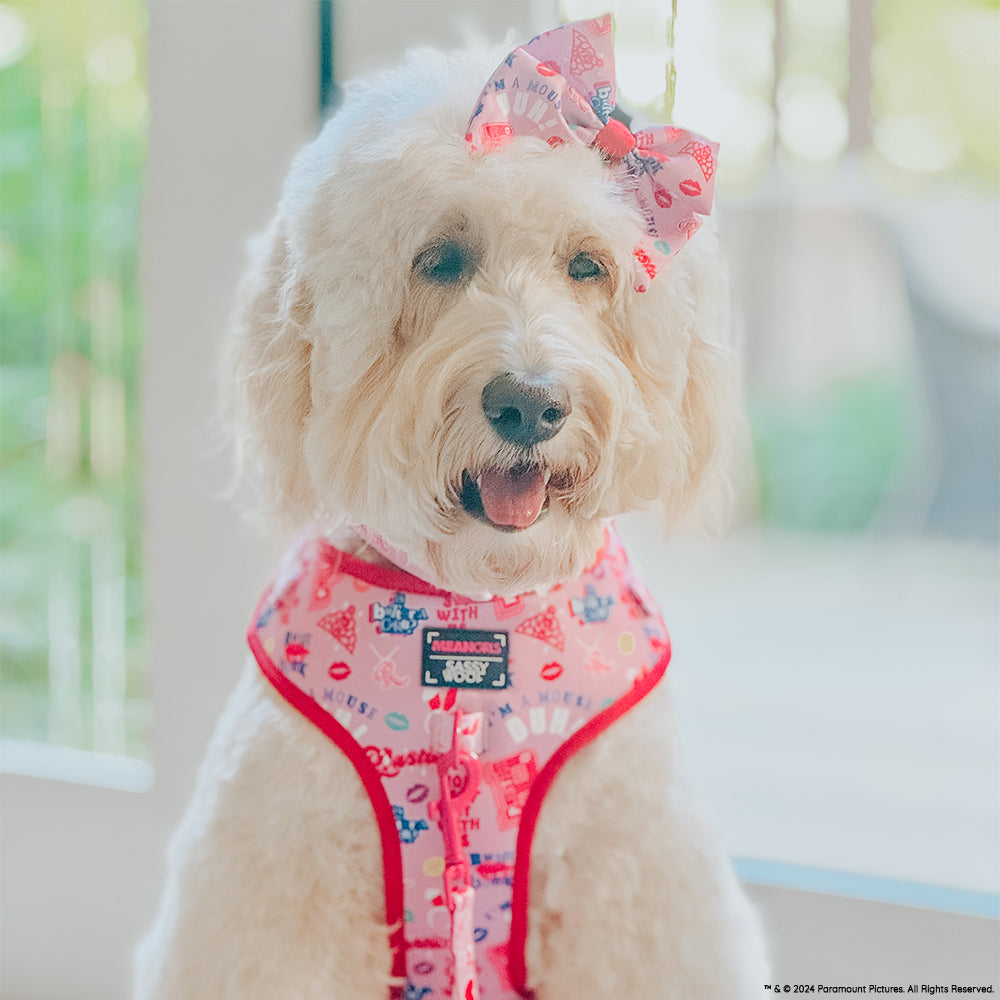 Dog Adjustable Harness - Mean Girls™