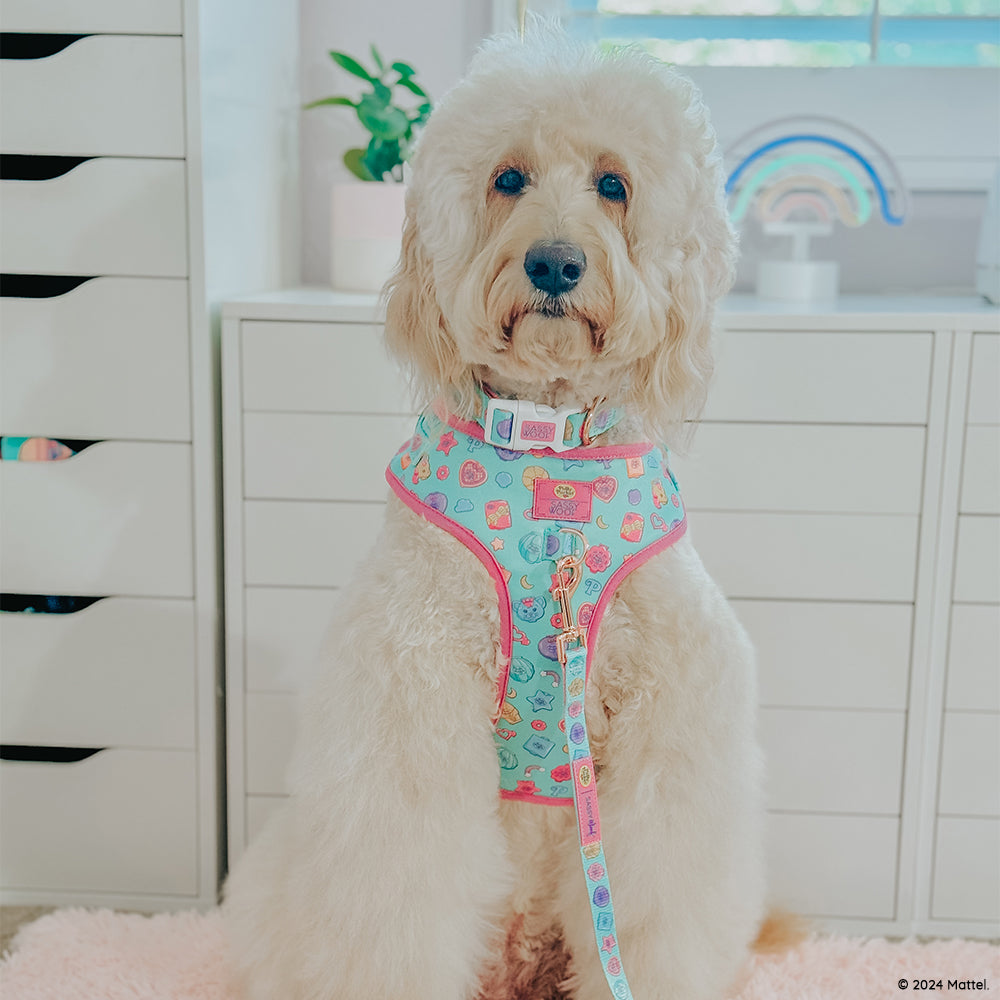 Dog Adjustable Harness - Polly Pocket™