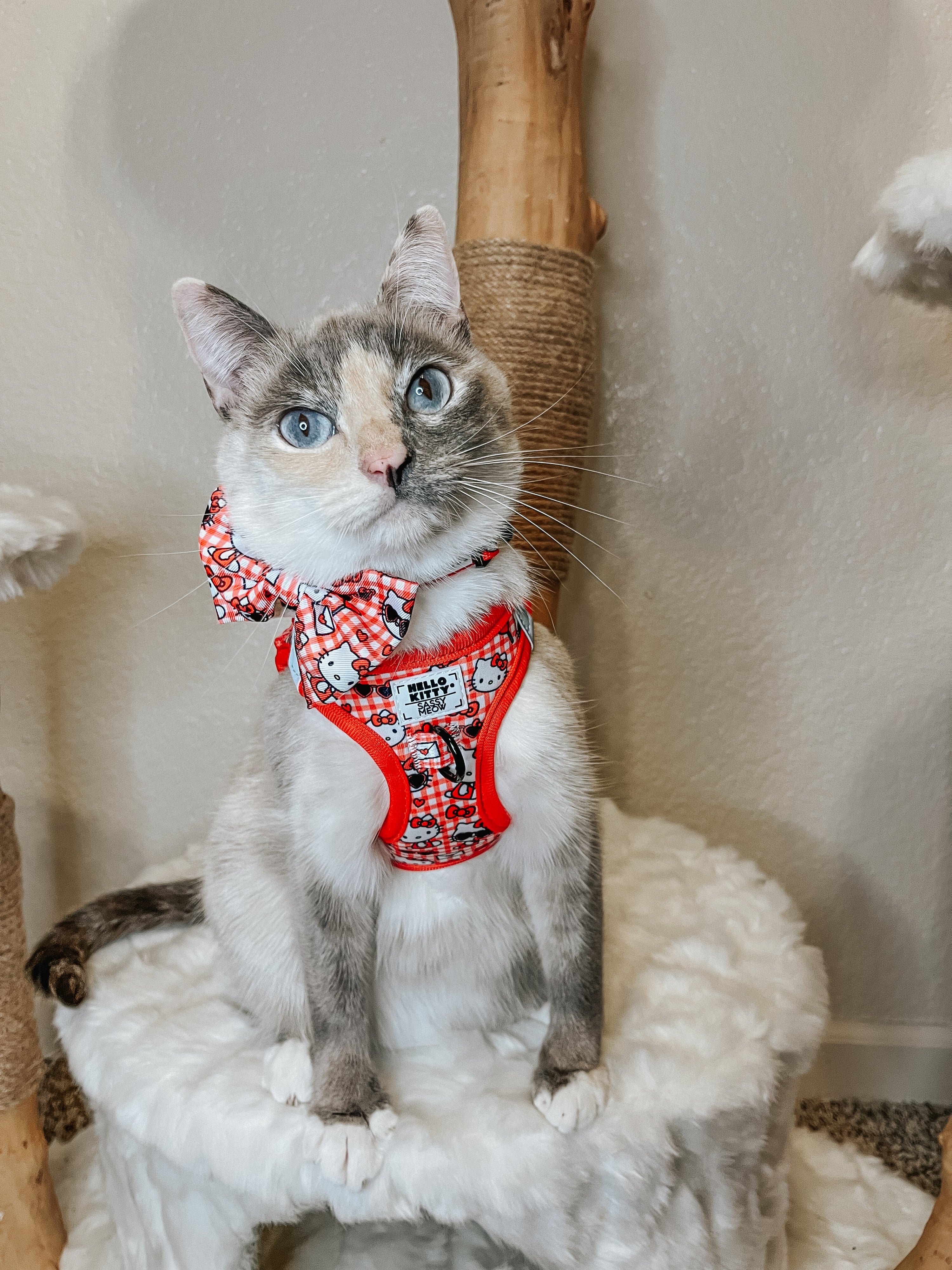 Cat Bowtie - Hello Kitty® Red Classic